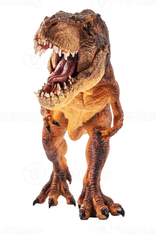 Tyrannosaurus T-Rex, Dinosaurier auf weißem Hintergrund png