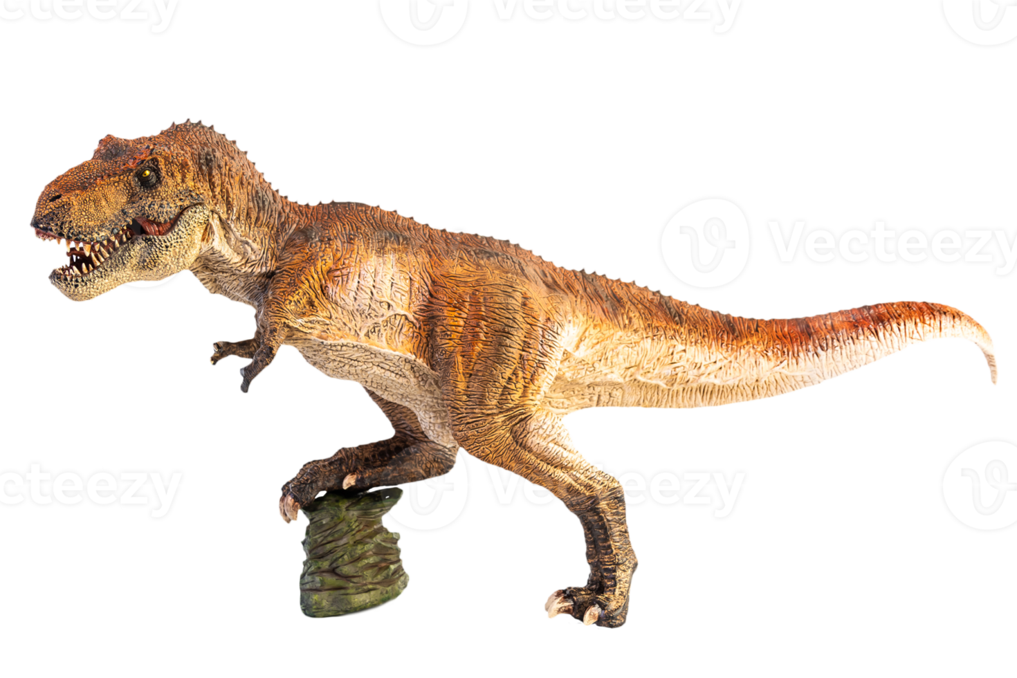 tiranosaurio t-rex, dinosaurio sobre fondo blanco png