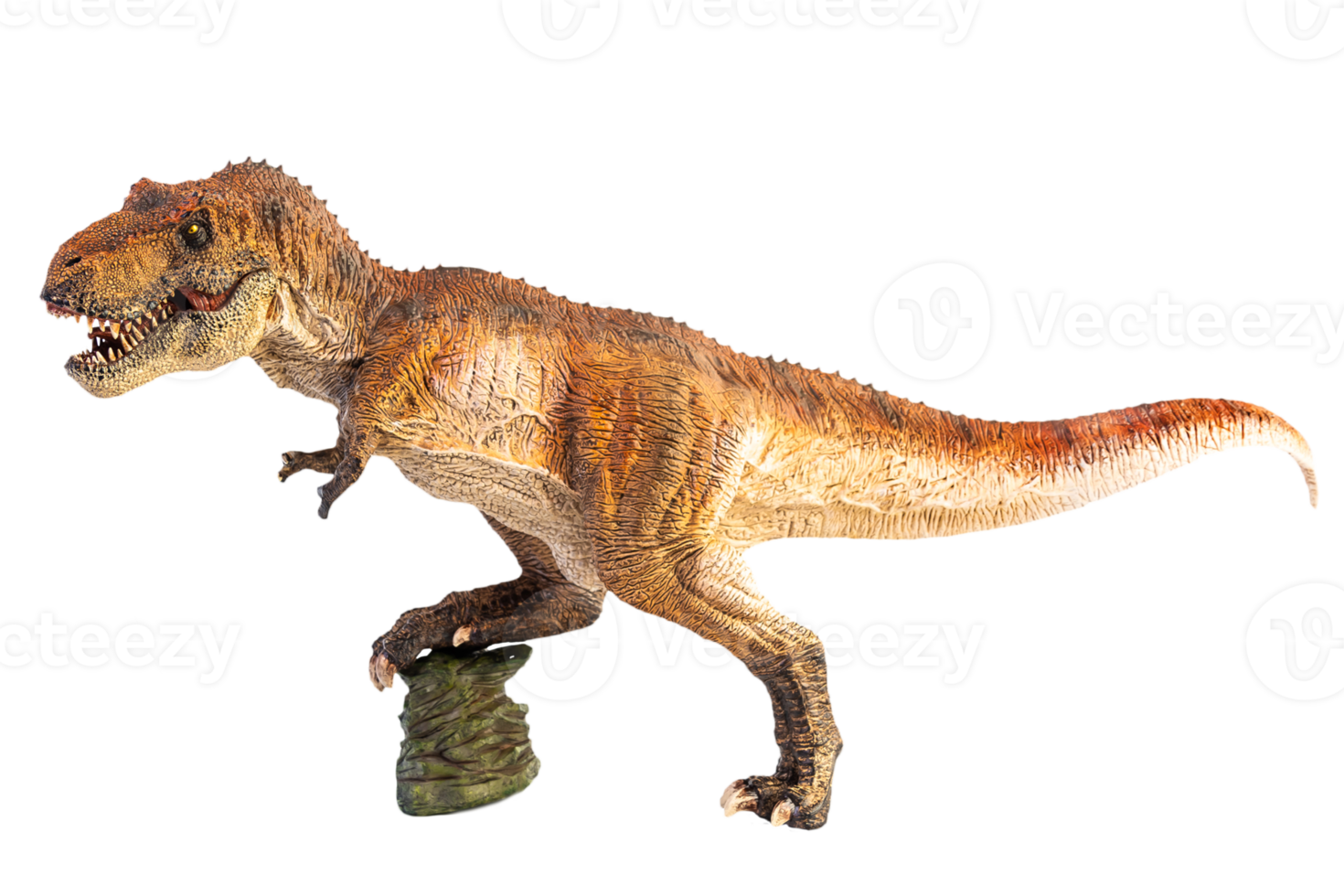 Tyrannosaurus T-rex ,dinosaur on white background png