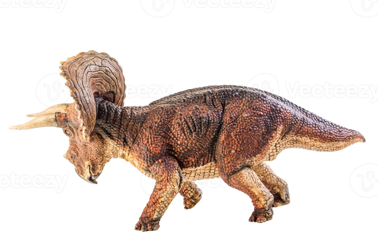 triceratops, dinosaurio sobre fondo blanco. trazado de recorte png