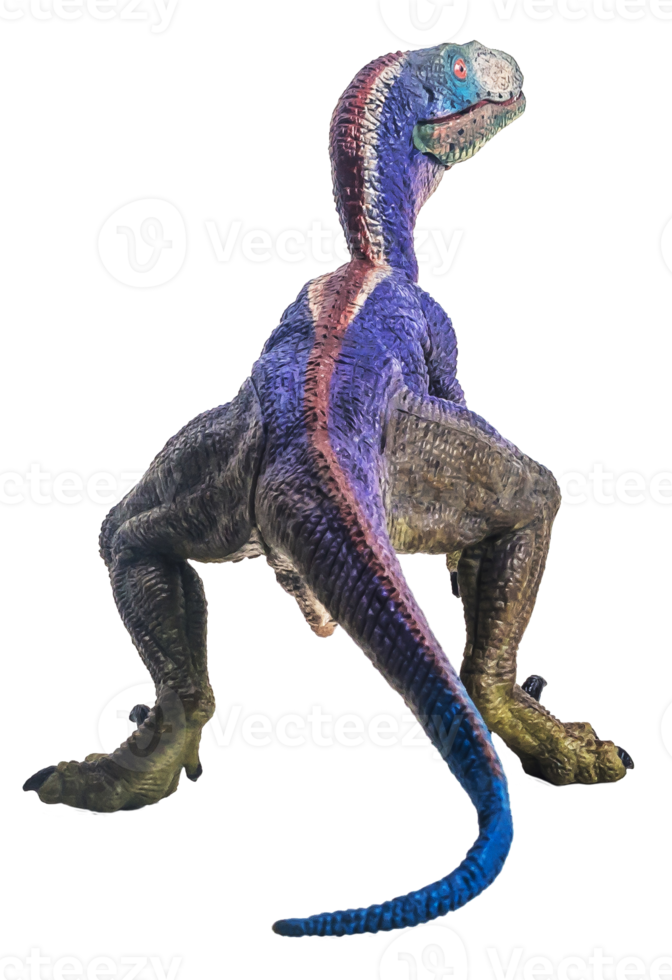 dinosaur , Velociraptor on white background . png