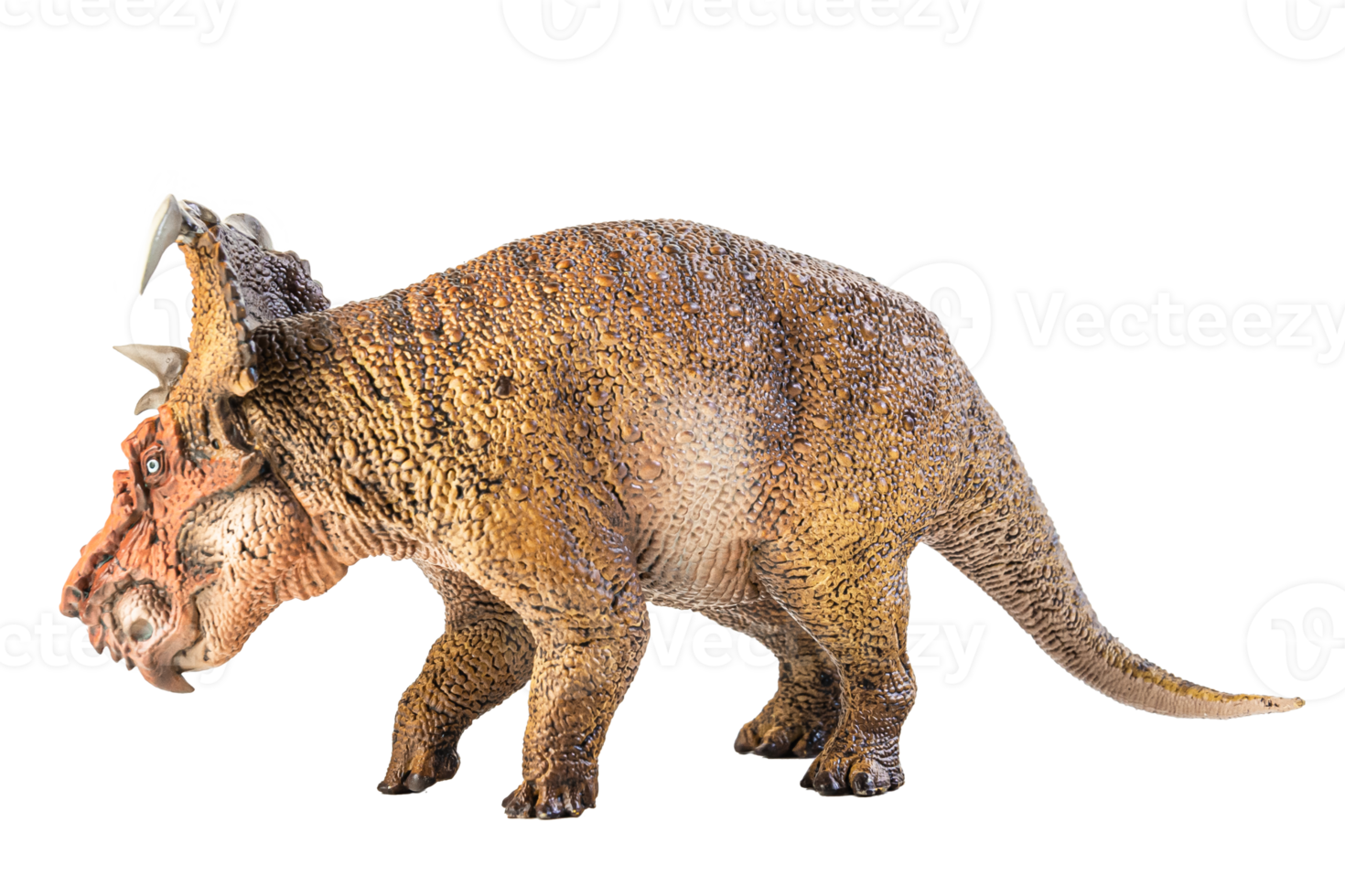 pachyrhinosaurus, dinossauro em fundo branco. png