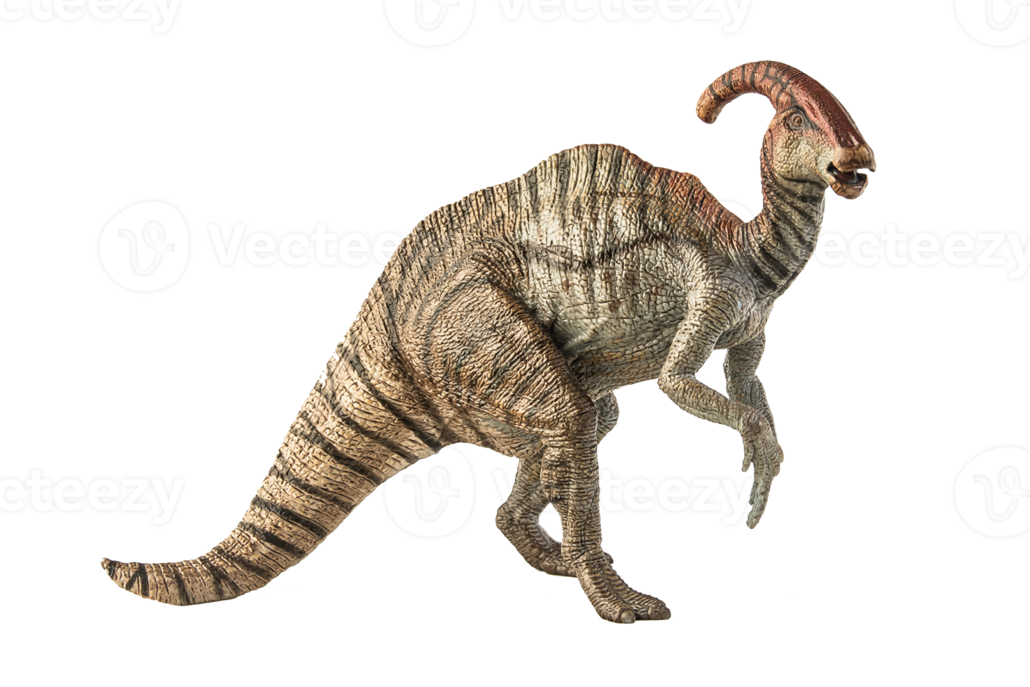 dinosaurio parasaurolophus sobre fondo blanco png