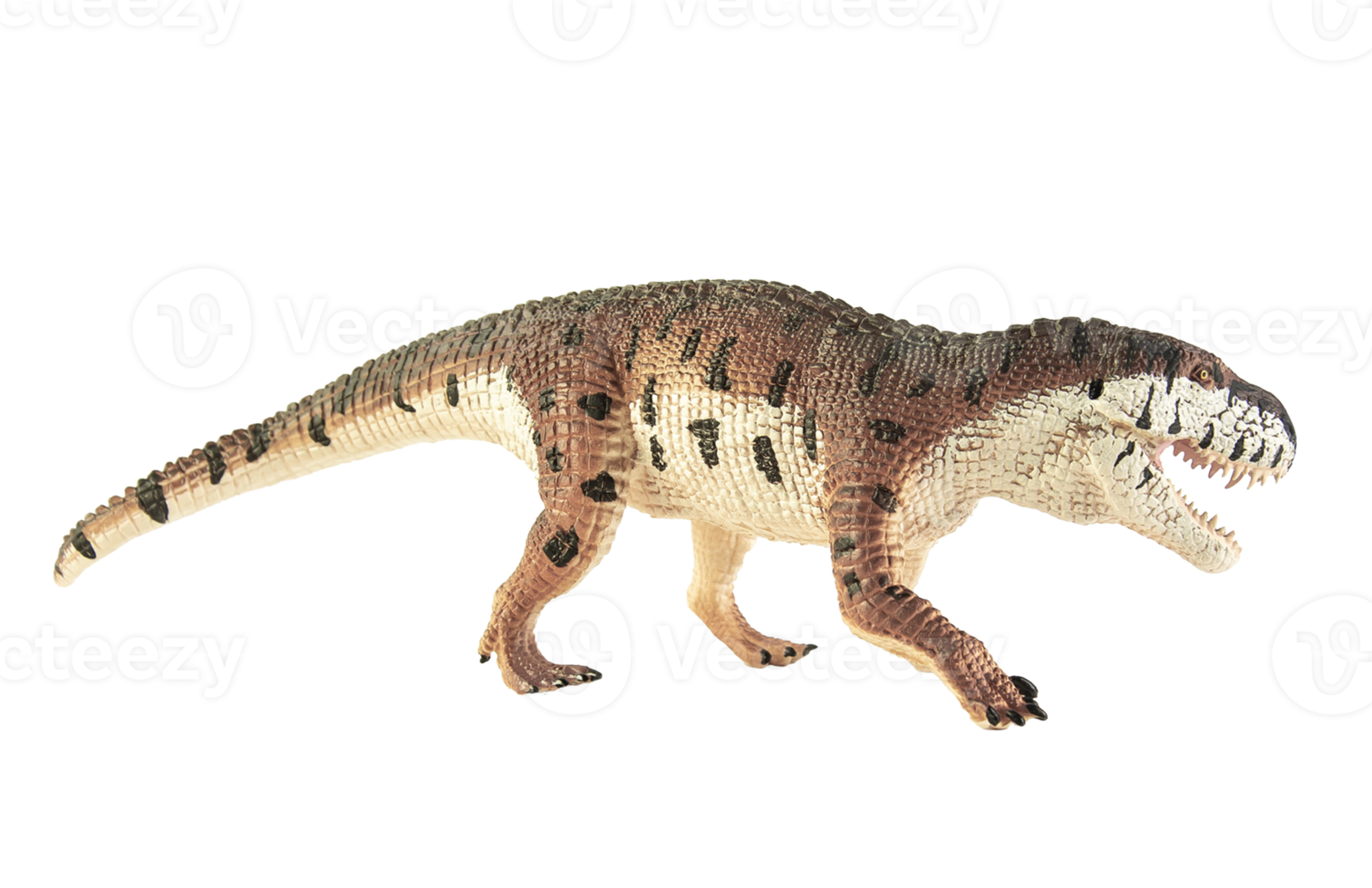 prestosuchus, dinosaurie på vit bakgrund. png