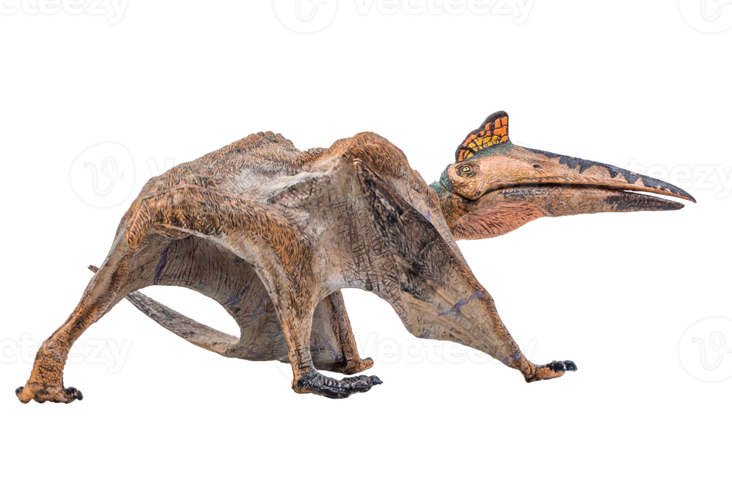 Quetzalcoatlus ,dinosaur on white background png
