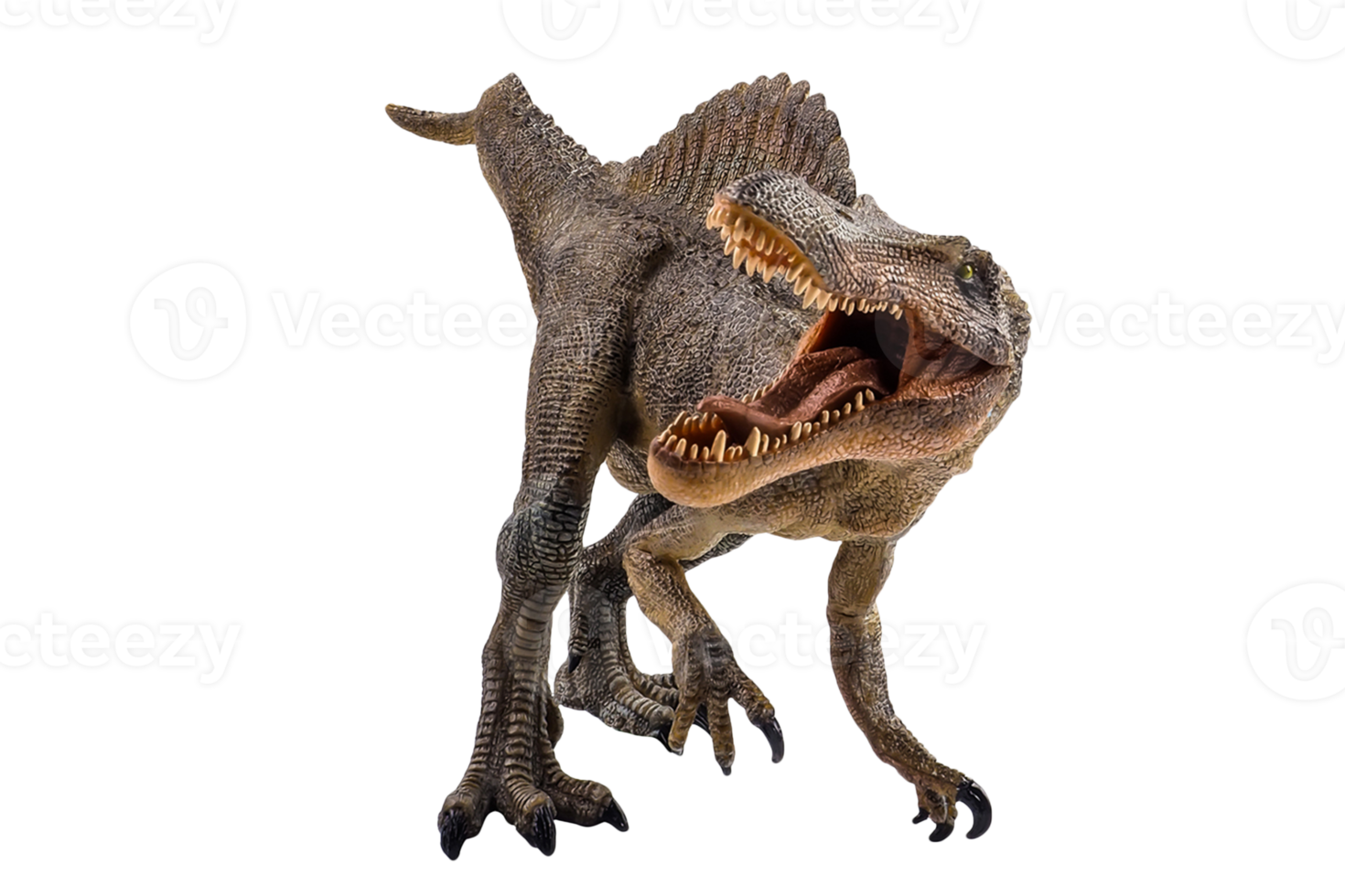 spinosauro, dinosauro su sfondo bianco. png