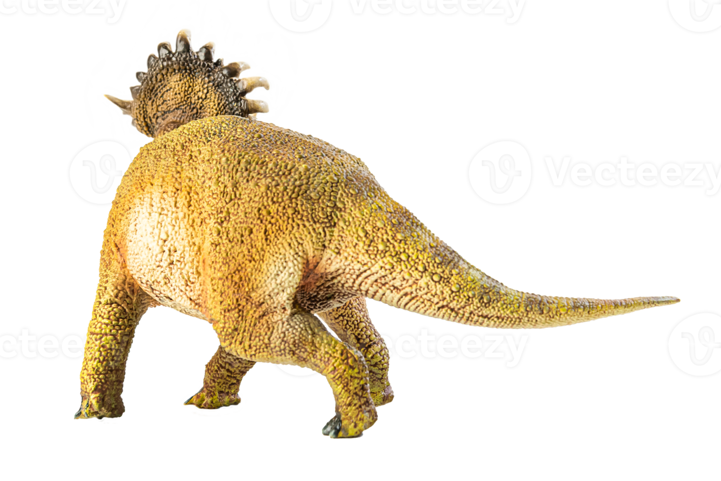 SINOCERATOPS  , dinosaur on white background . png