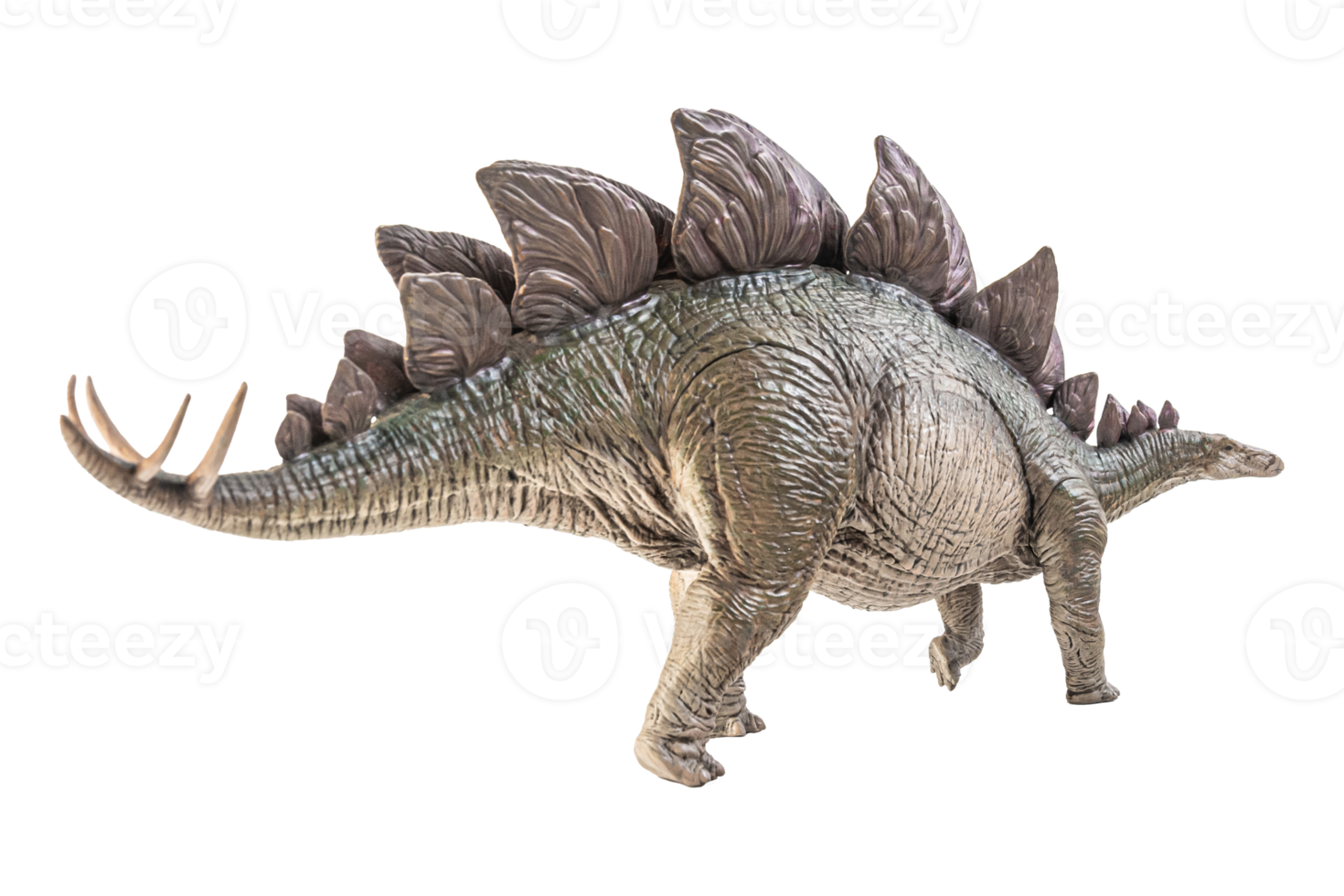 Stegosaurus-Dinosaurier auf weißem Hintergrund png