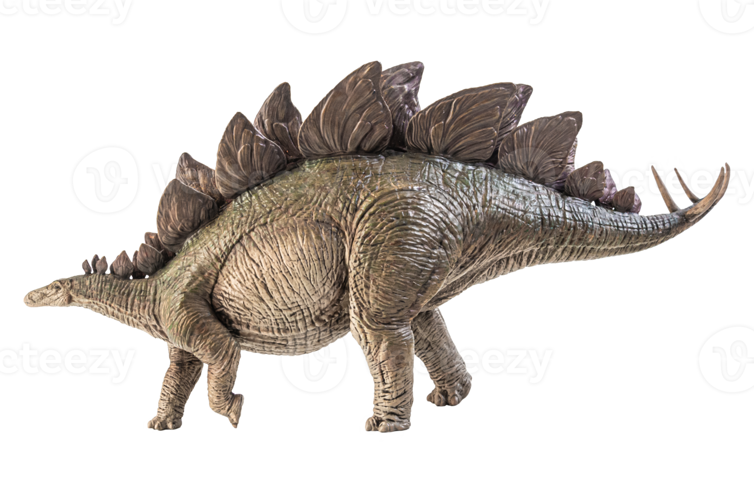 Stegosaurus-Dinosaurier auf weißem Hintergrund png