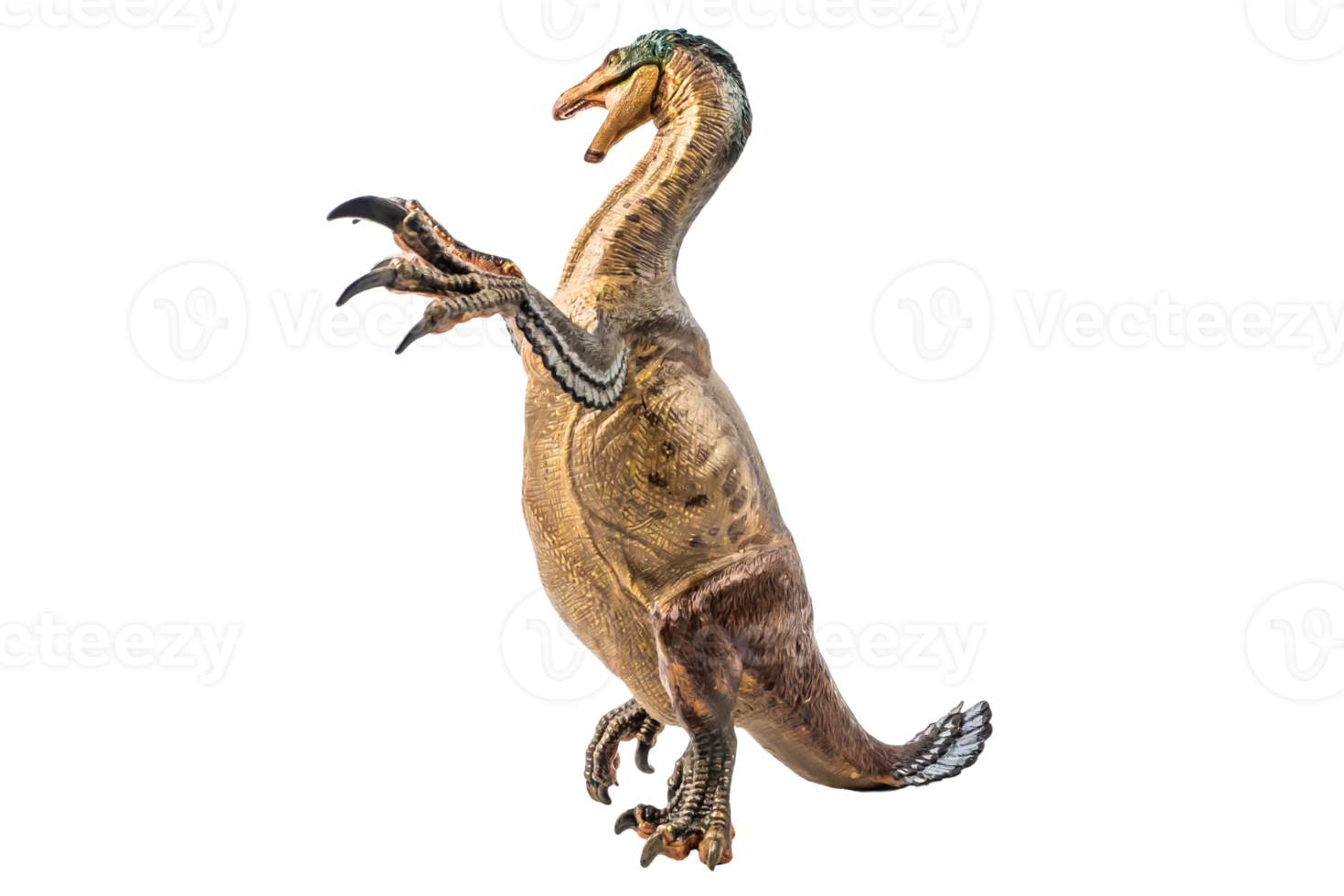 Amargasaurus ,dinosaur on white background png