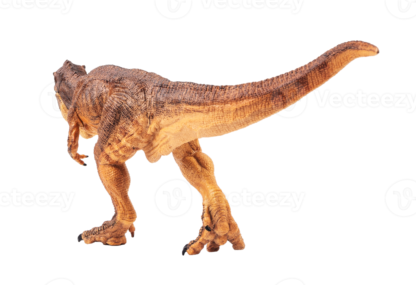 Tyrannosaurus T-Rex, Dinosaurier auf weißem Hintergrund png