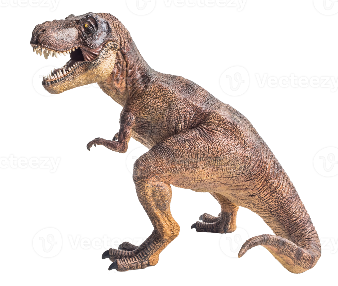 Tyrannosaurus T-Rex, Dinosaurier auf weißem Hintergrund png