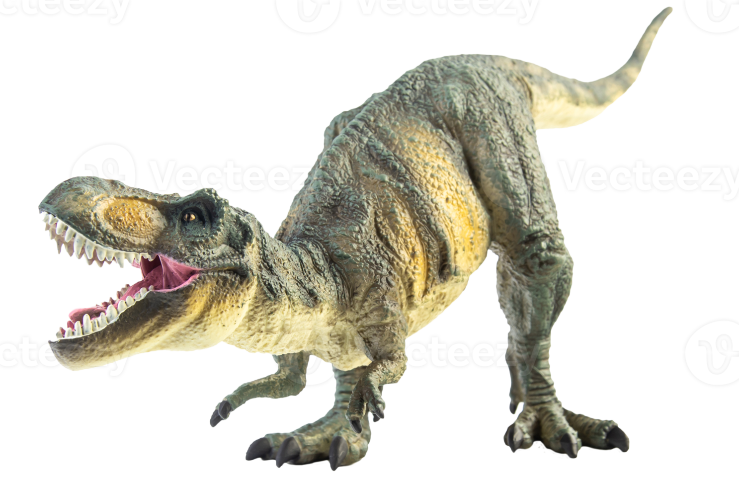 tyrannosaurus t-rex, dinosaurie på vit bakgrund png