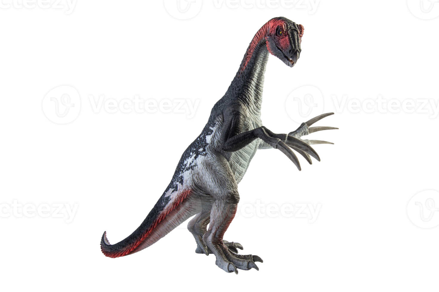 amargasaurus, dinosauro su sfondo bianco png