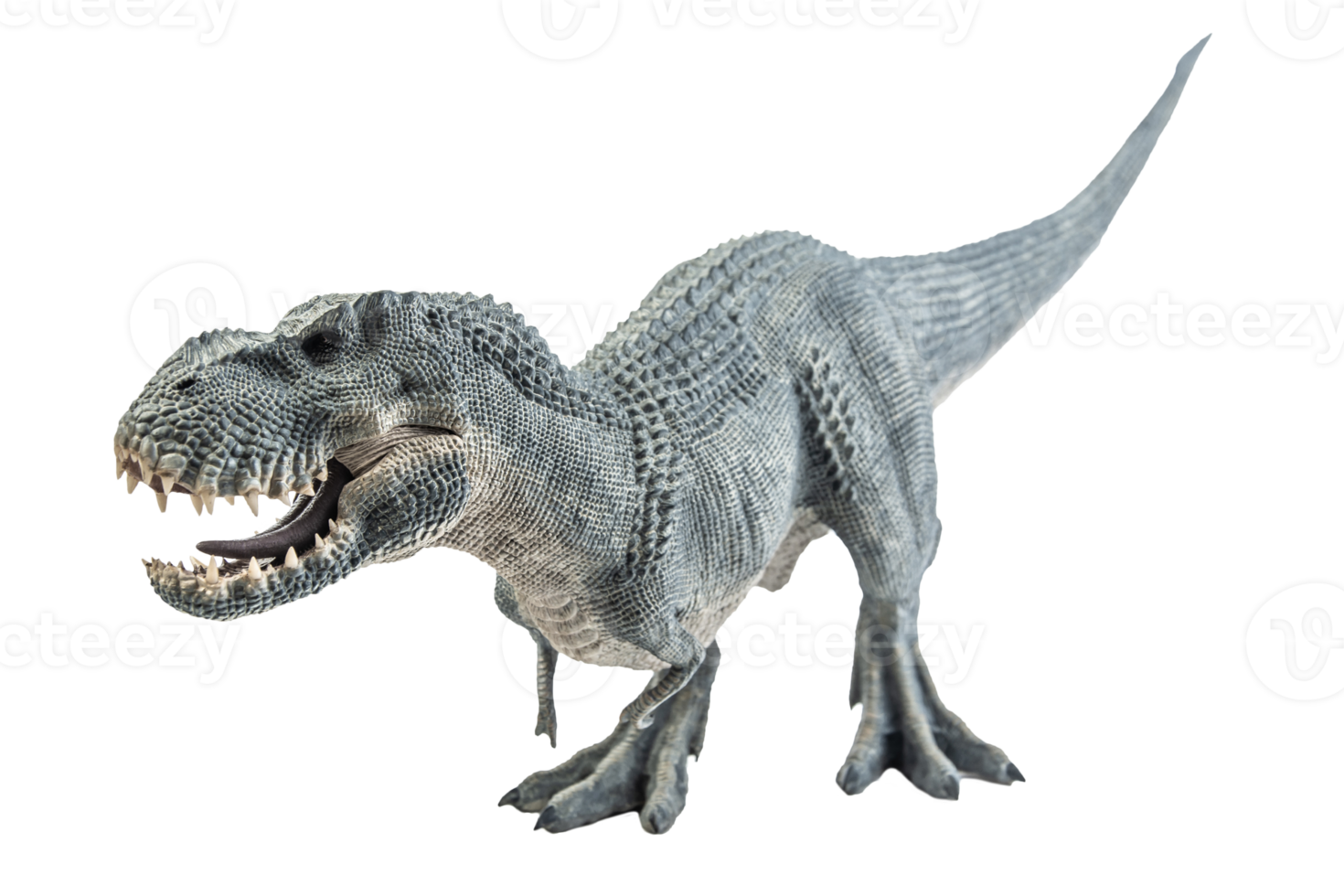 Tyrannosaurus T-rex ,dinosaur on white background png