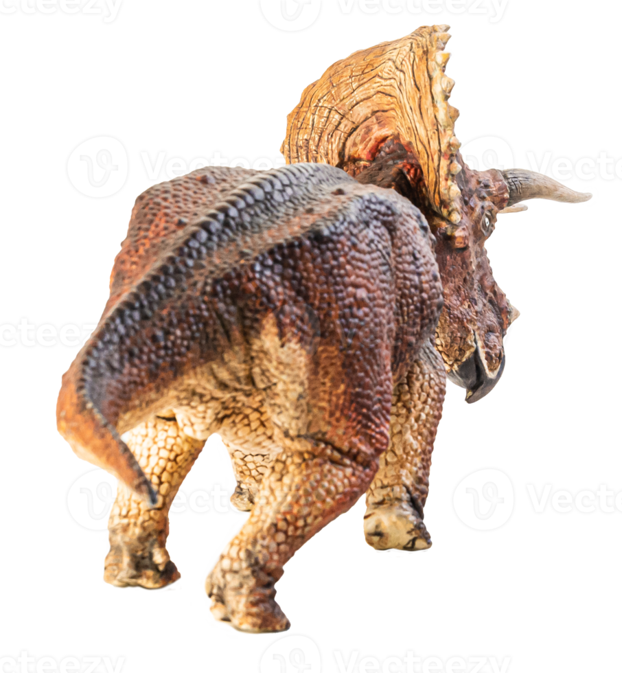 Triceratops  , dinosaur on white  background . Clipping path png