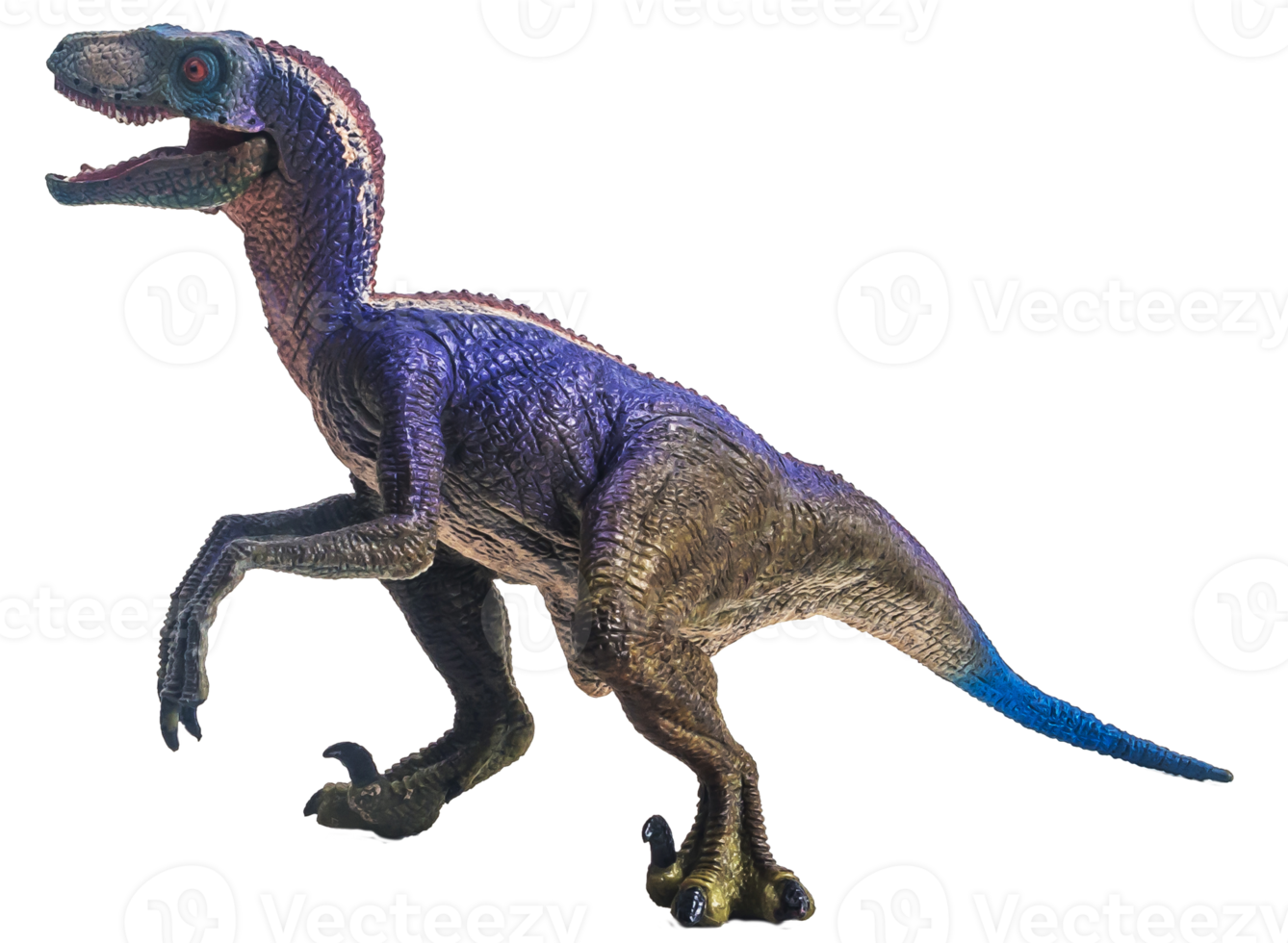 dinosaur , Velociraptor on white background . png