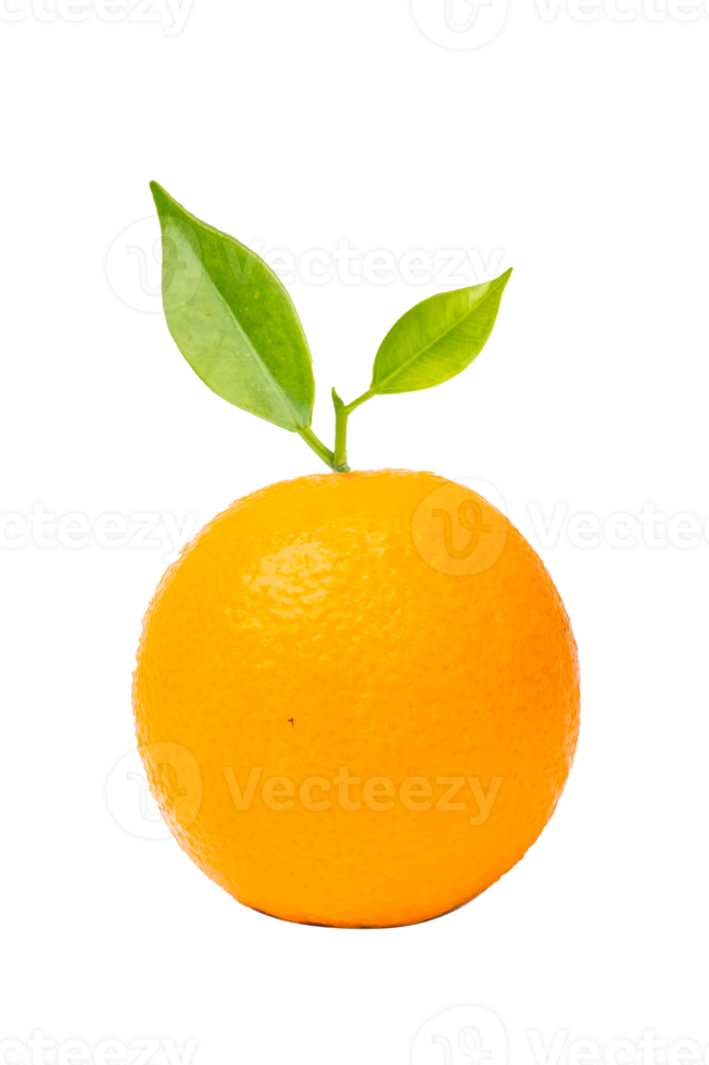 Orange fruit on white background png