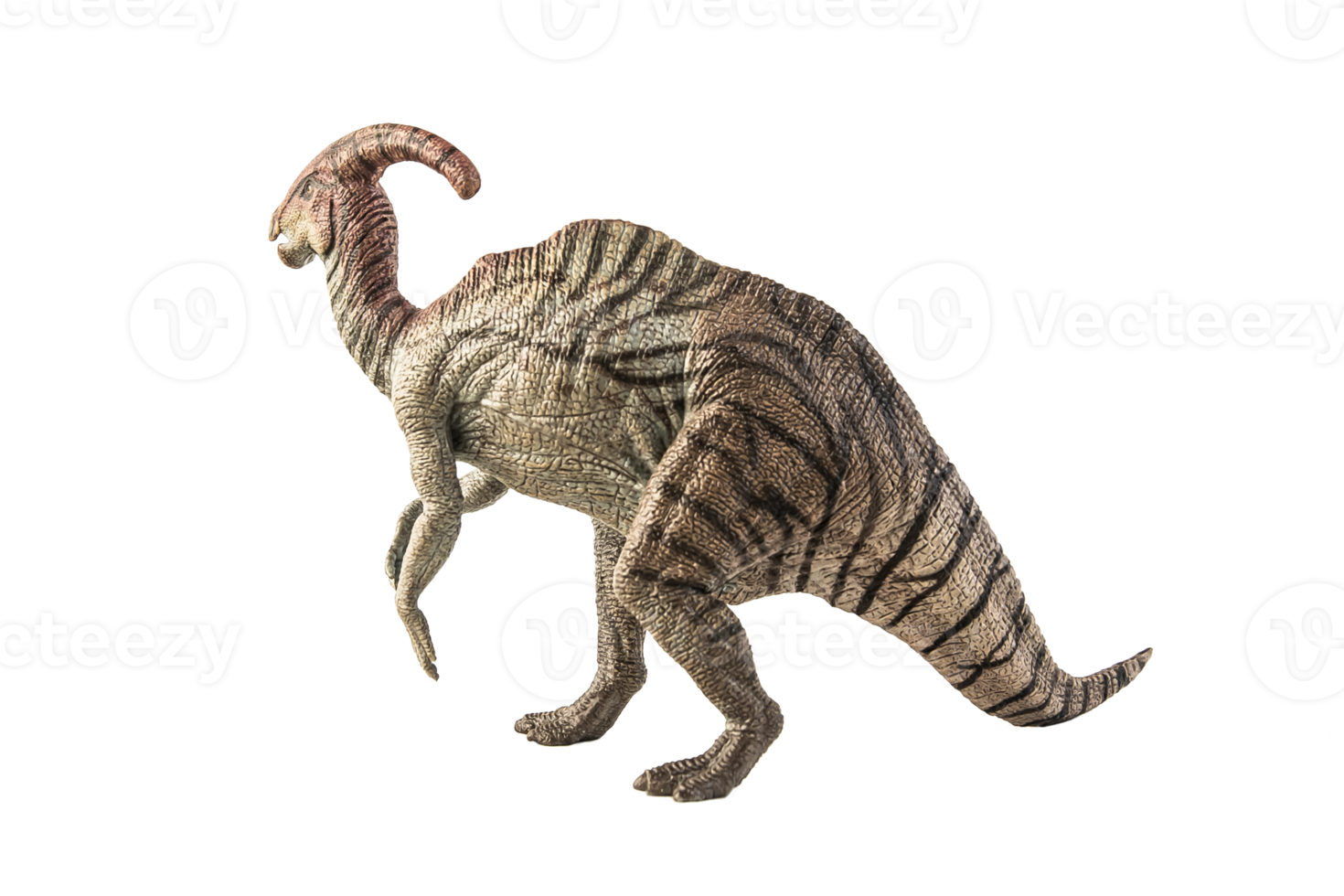 dinosauro parasaurolofo su sfondo bianco png