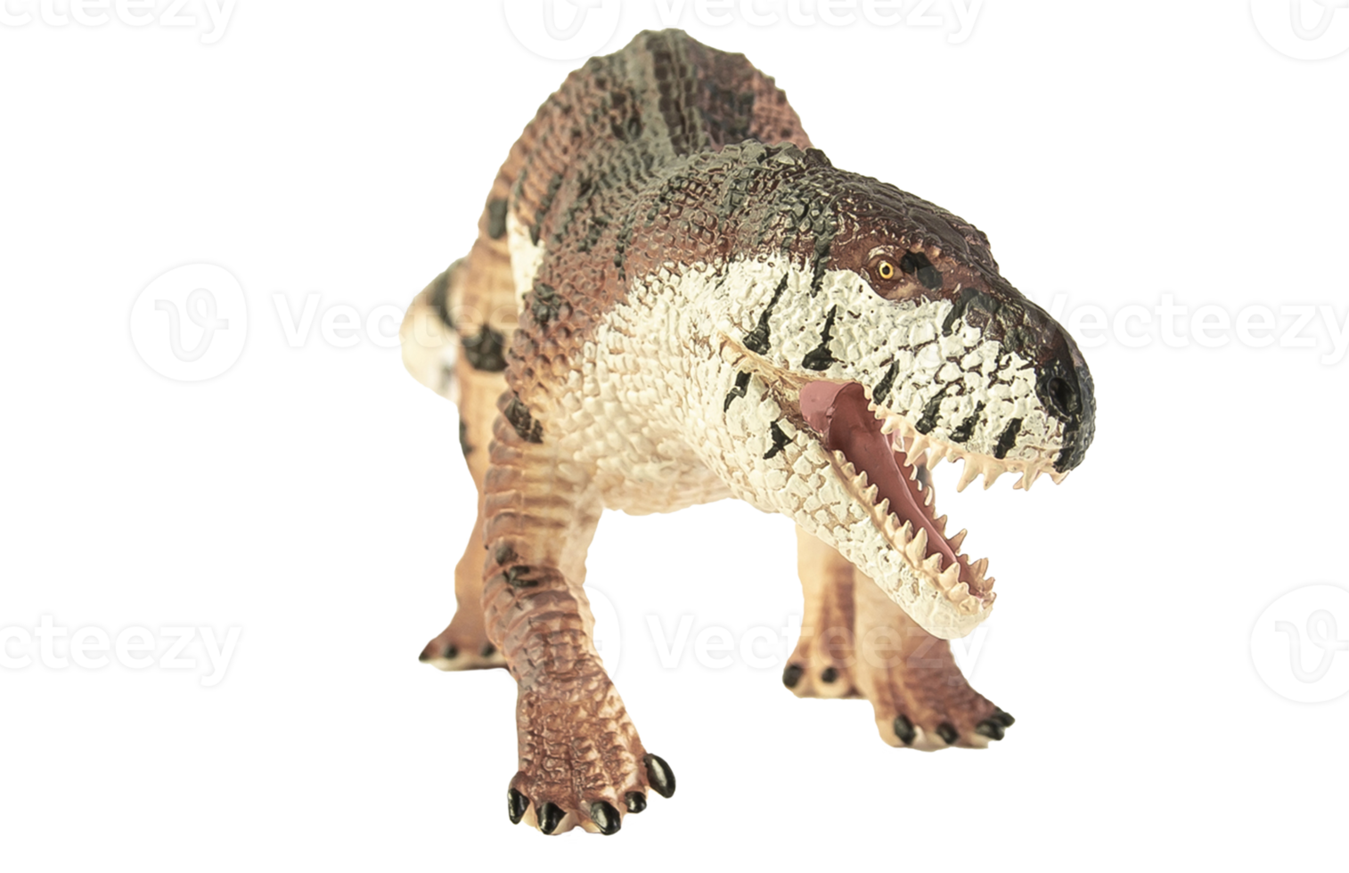 Prestosuchus , dinosaur on white background . png