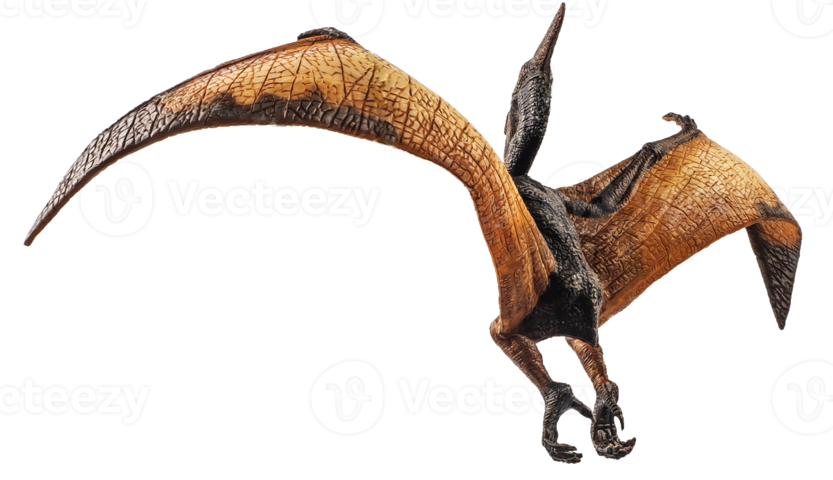 Pteranodon Pterodactyl Dinosaur on white background 8843960 PNG