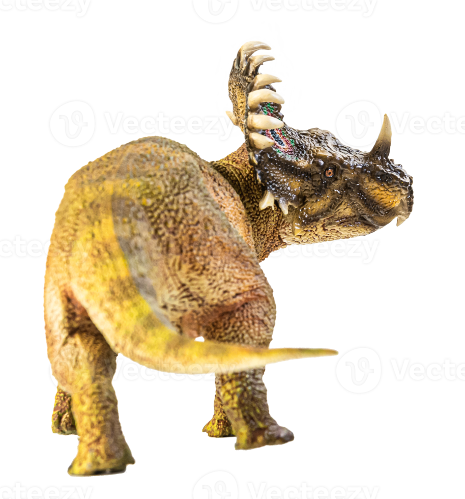 SINOCERATOPS  , dinosaur on white background . png