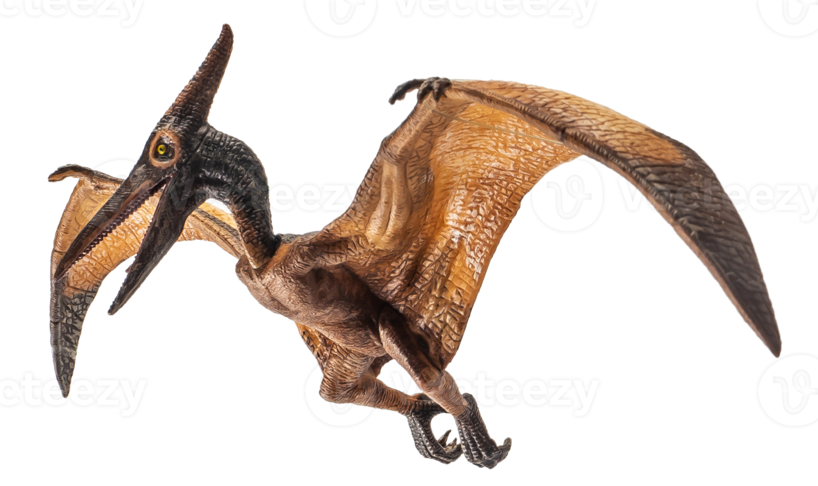 pteranodon pterodactyl dinossauro em fundo branco png