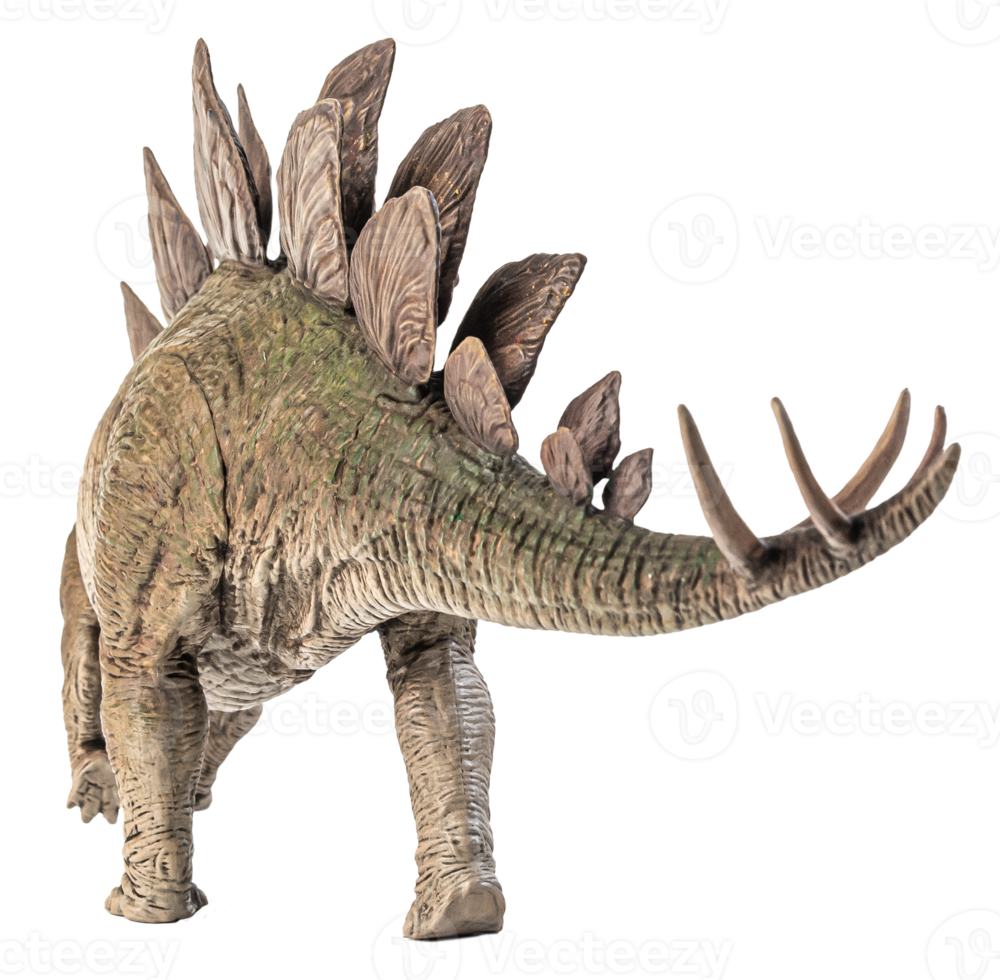 Stegosaurus-Dinosaurier auf weißem Hintergrund png