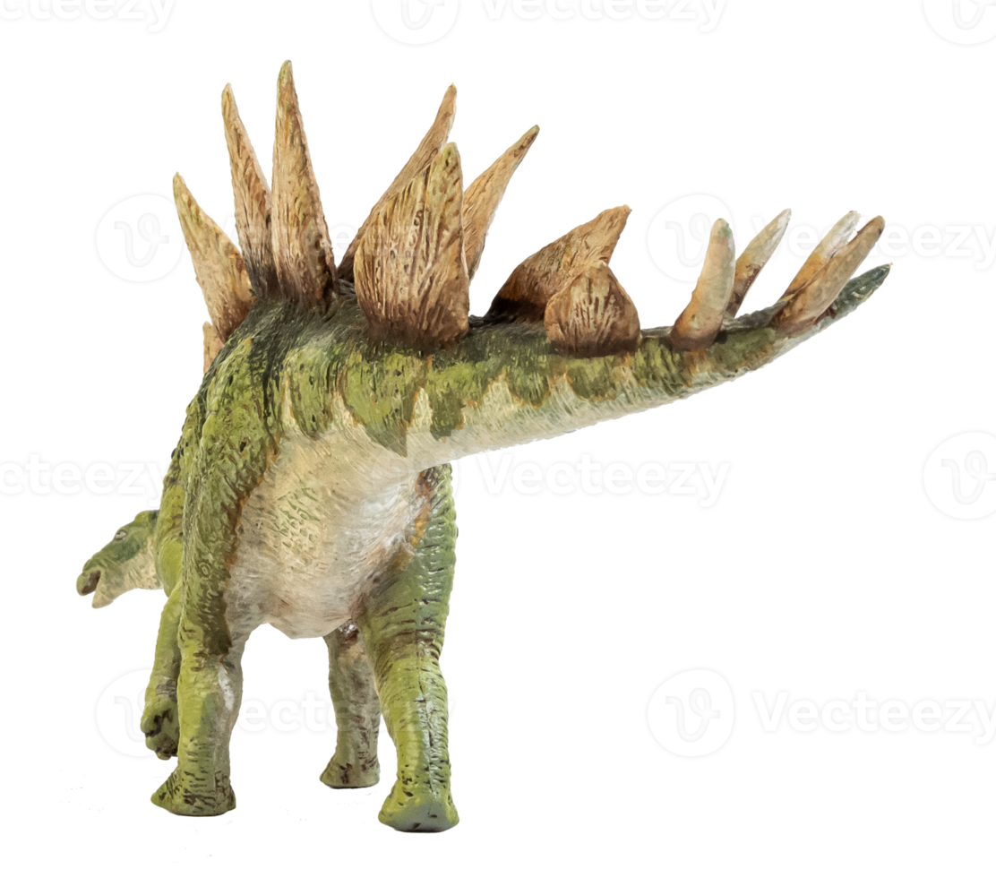 dinosaure stegosaurus sur fond isolé. png