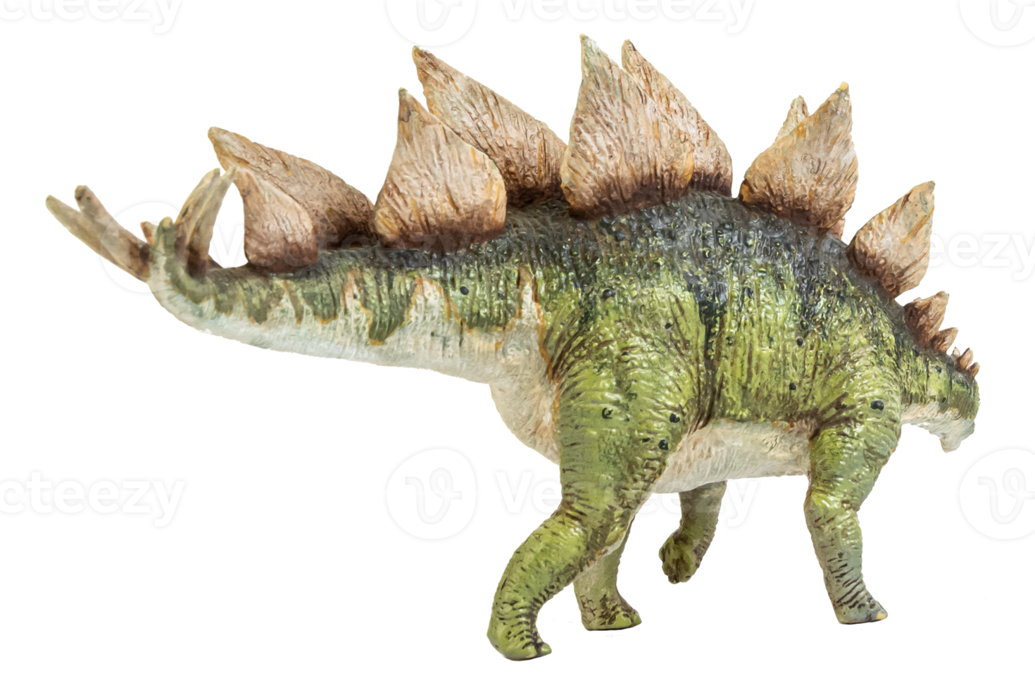 dinosaure stegosaurus sur fond isolé. png