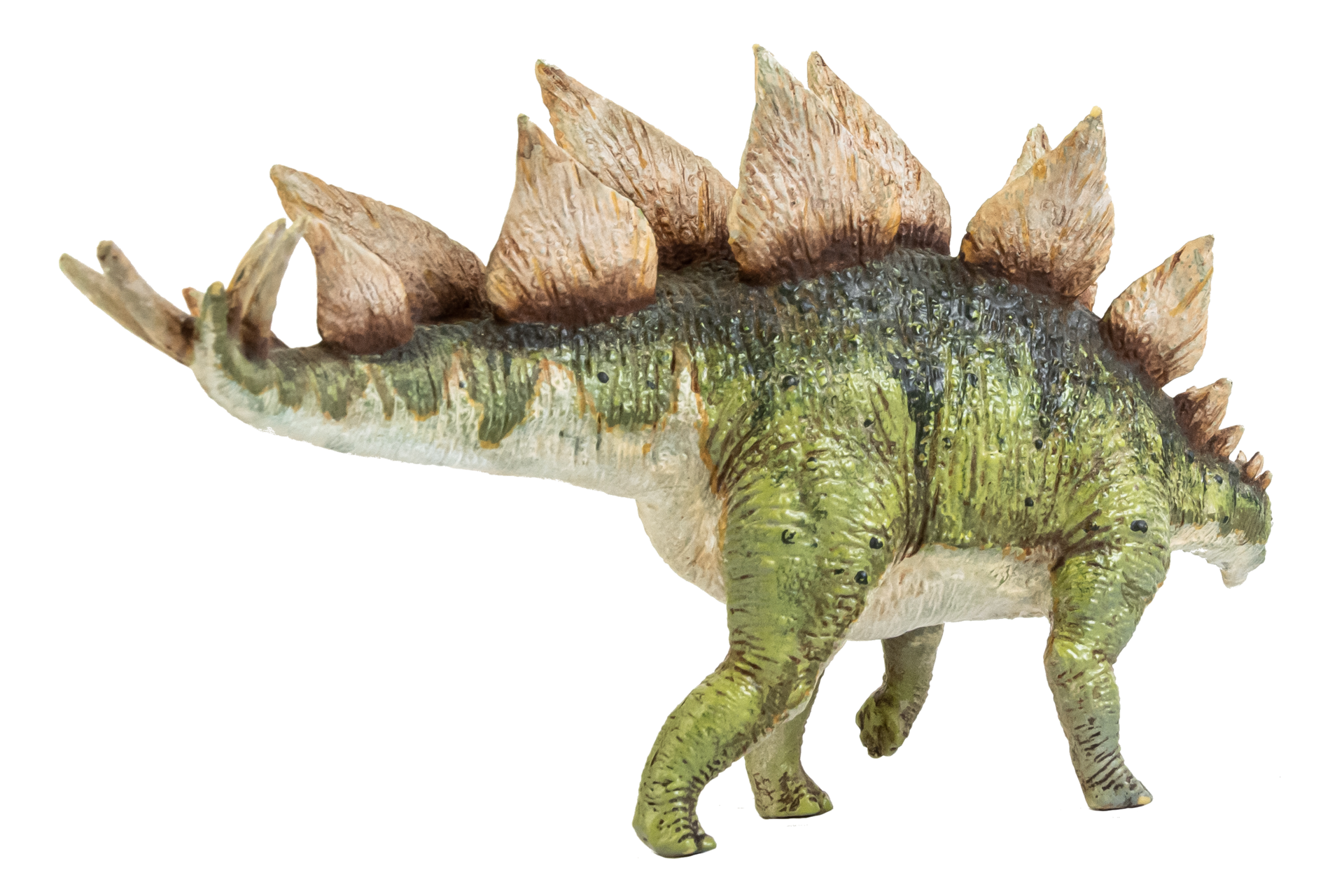 Dinossauro Estegossauro Em Fundo Isolado PNG , Antigo, Jurássico