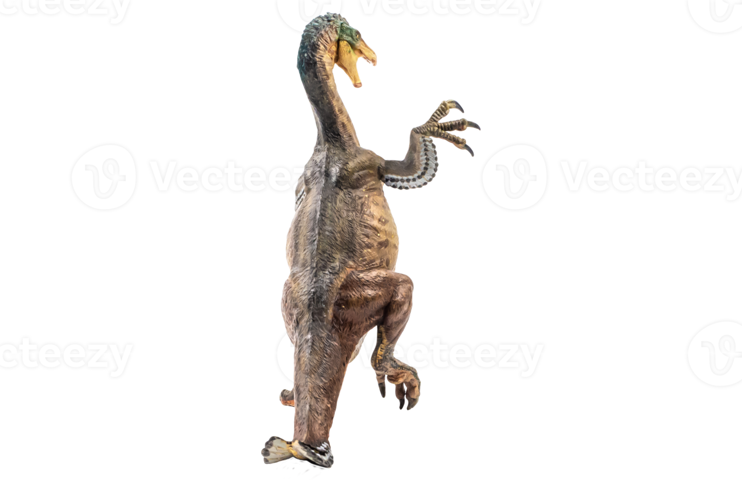 amargasaurus, dinosaurio sobre fondo blanco png