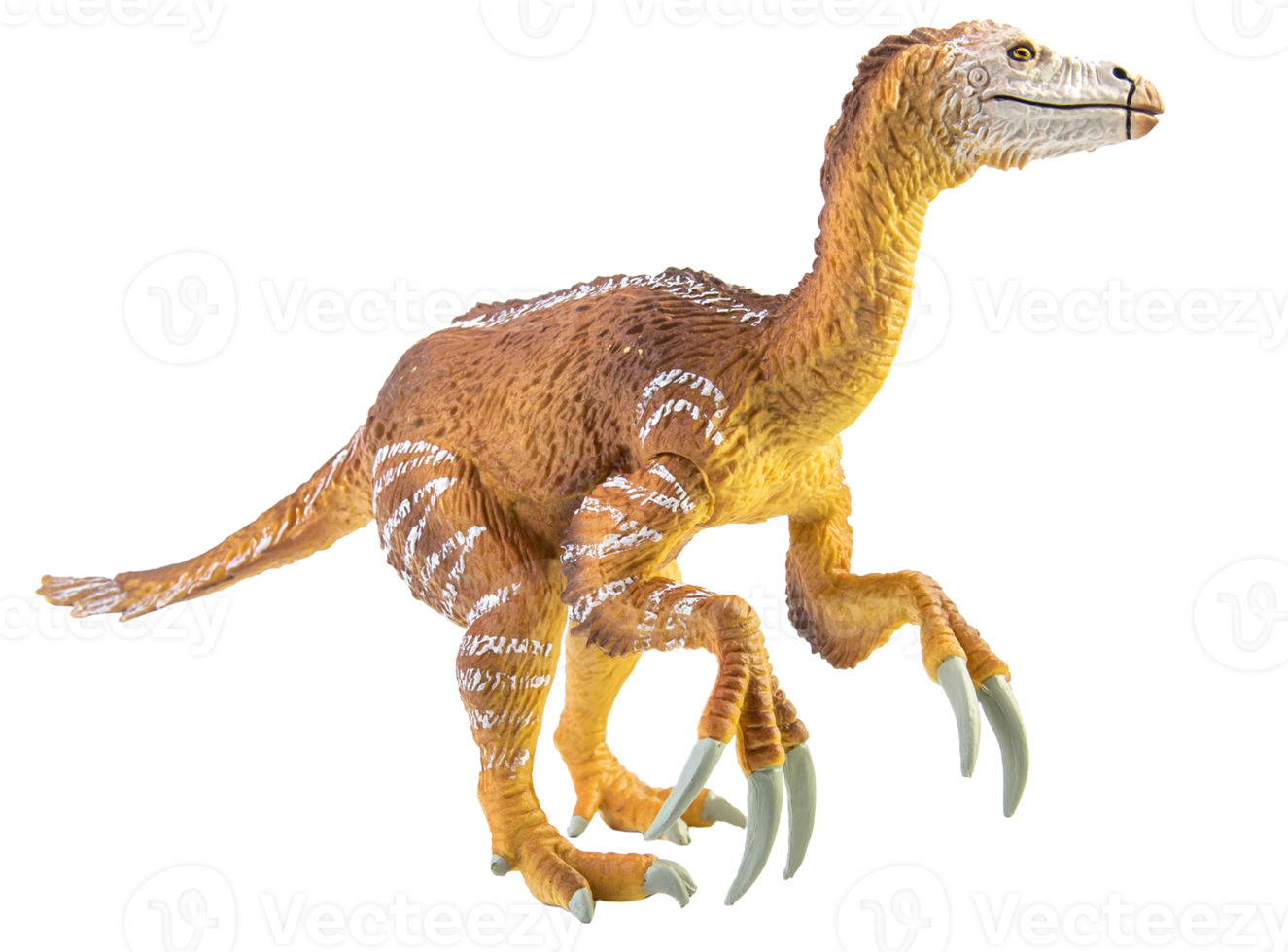 amargasaurus, dinosaurus op witte achtergrond png