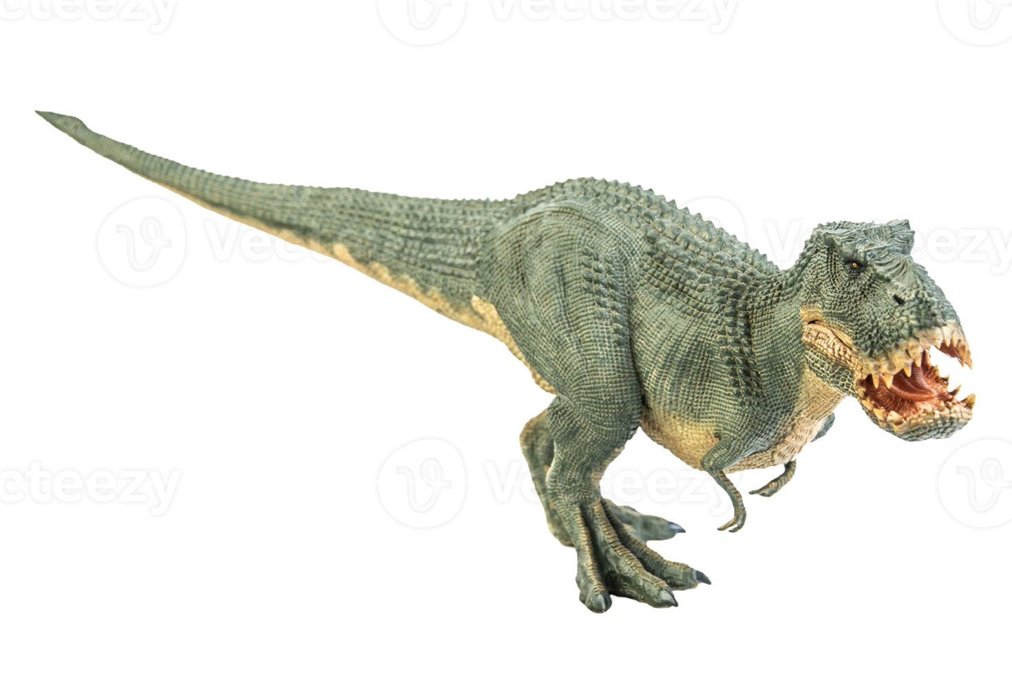 Tyrannosaurus T-rex ,dinosaur on white background png