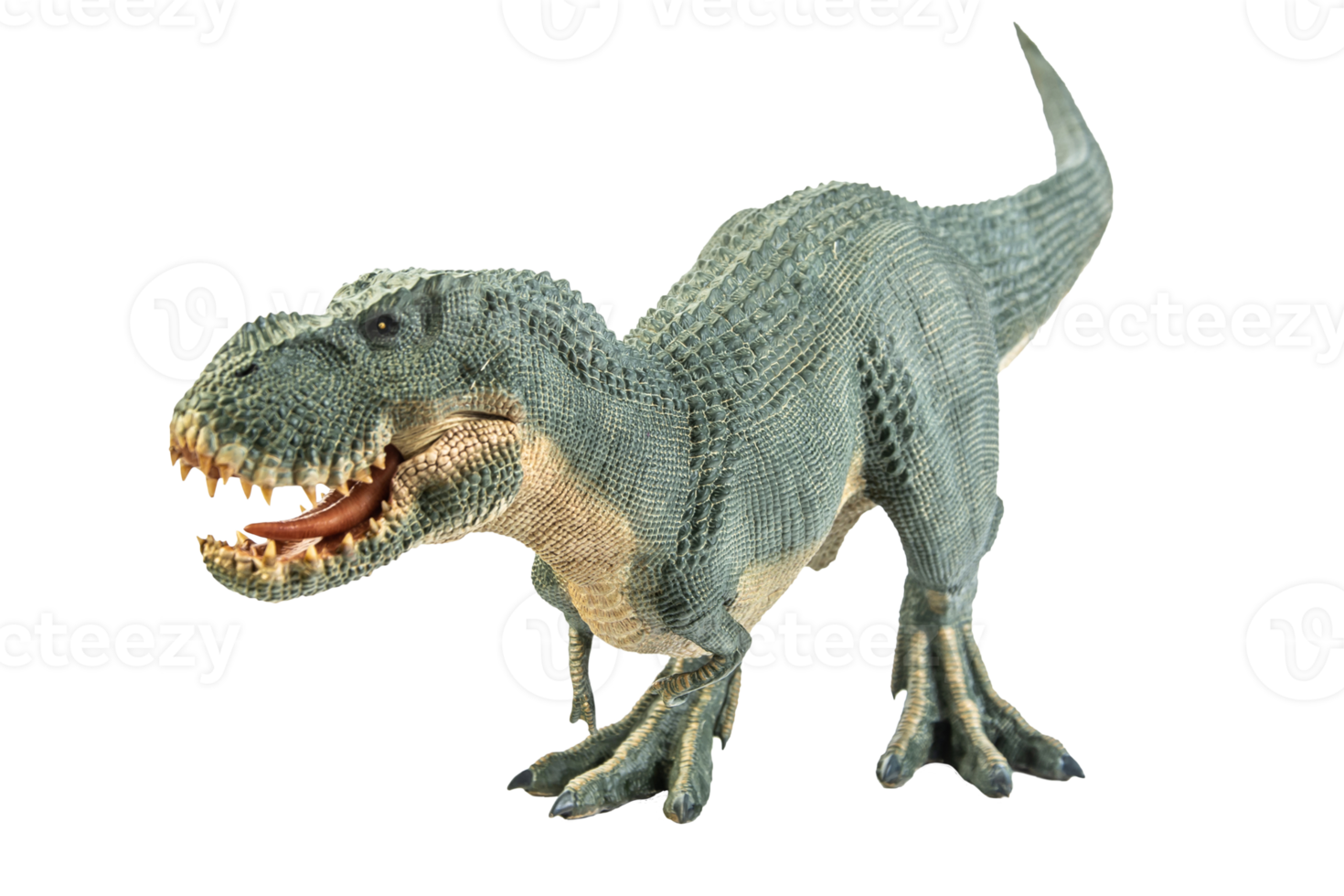 Tyrannosaurus T-rex ,dinosaur on white background png