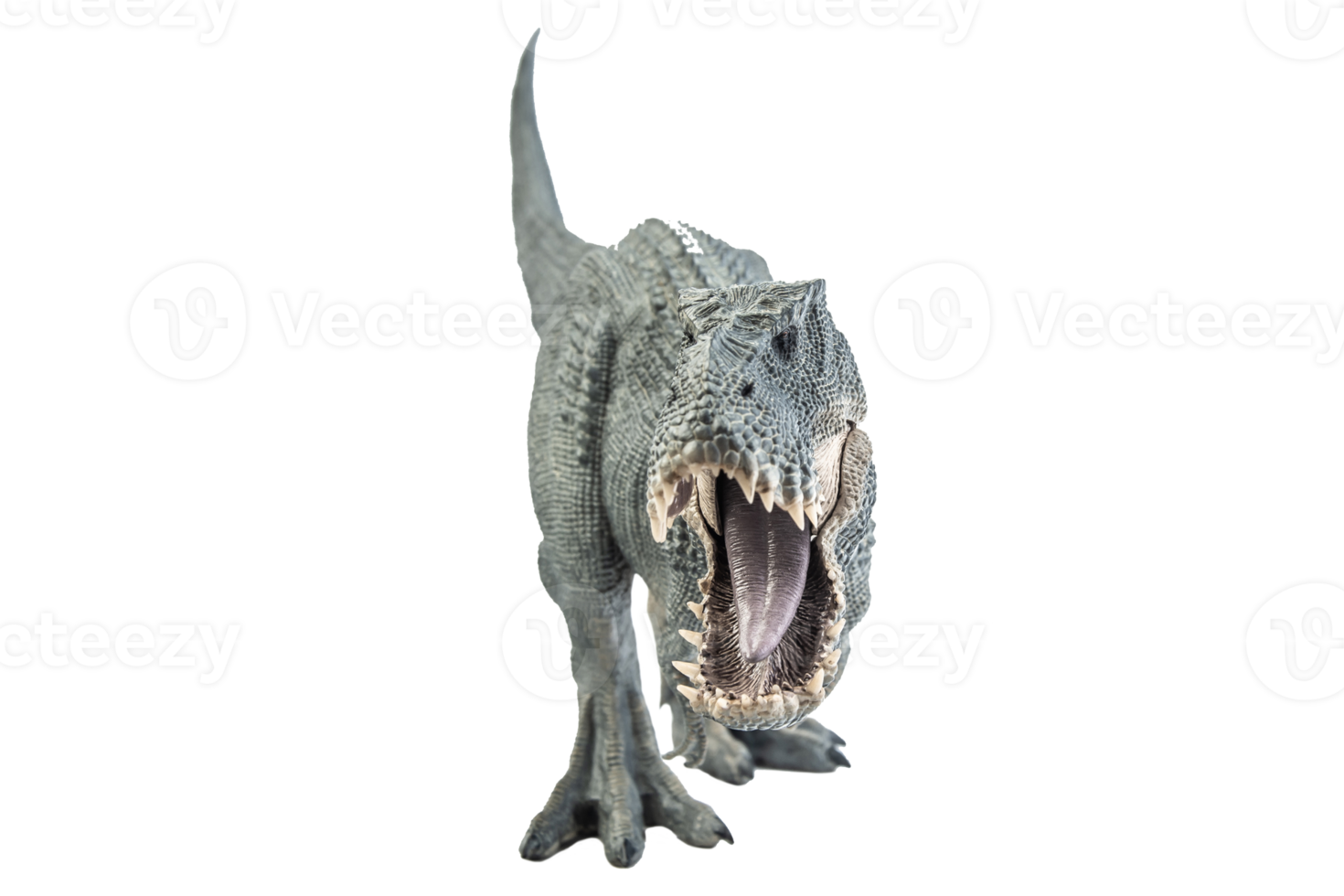 Tyrannosaurus T-Rex, Dinosaurier auf weißem Hintergrund png