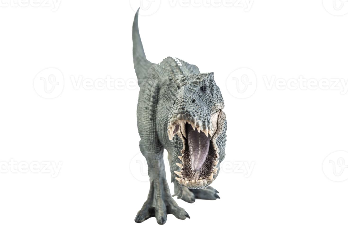 tirannosauro t-rex, dinosauro su sfondo bianco png