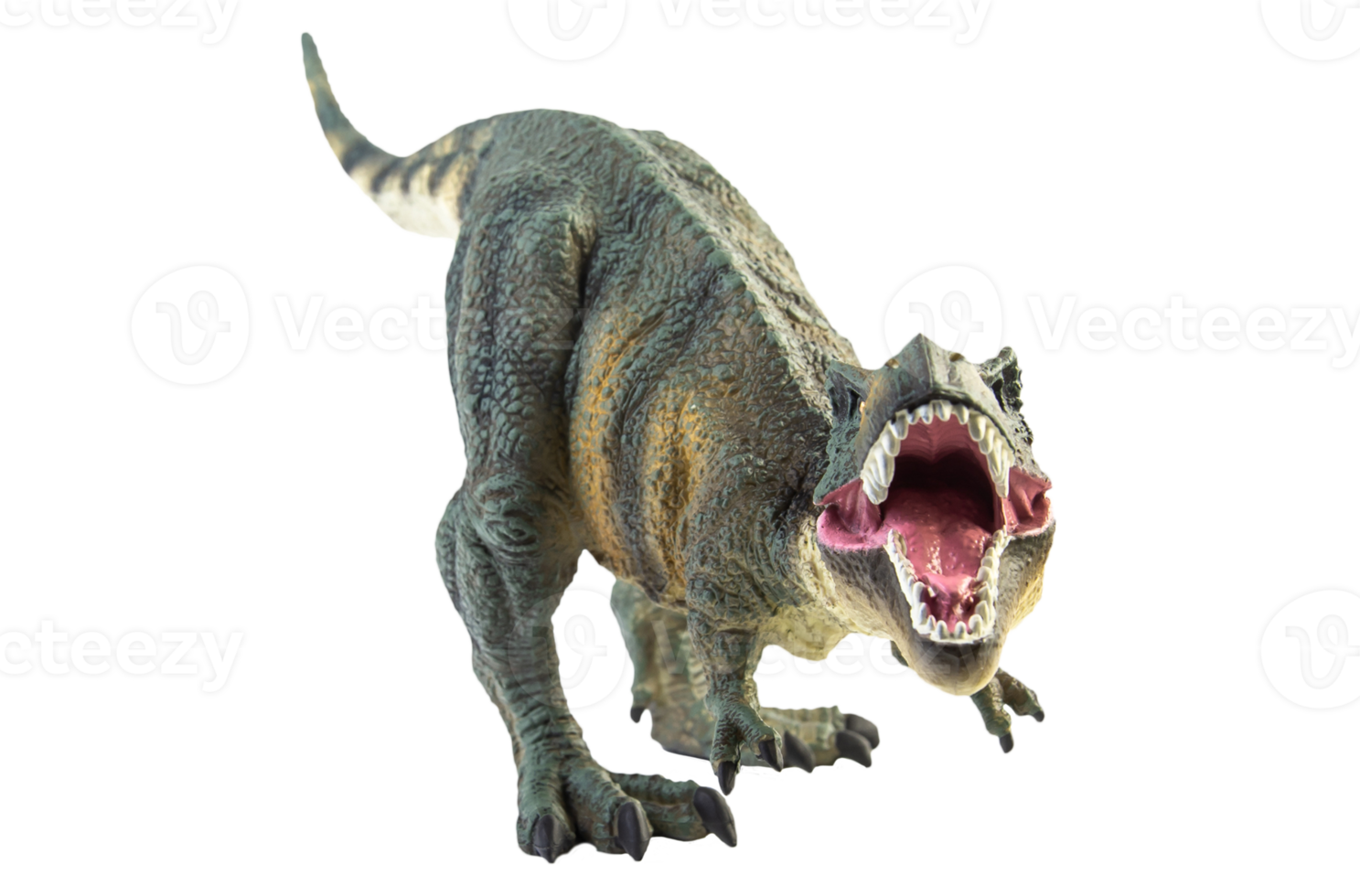 Tyrannosaurus T-rex ,dinosaur on white background png