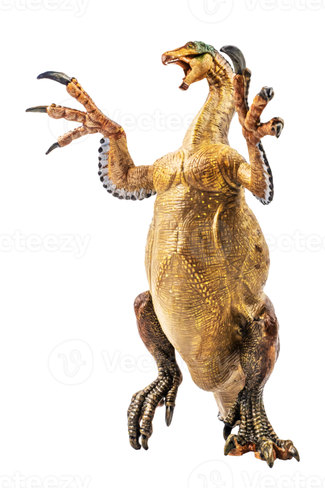 Amargasaurus ,dinosaur on white background png