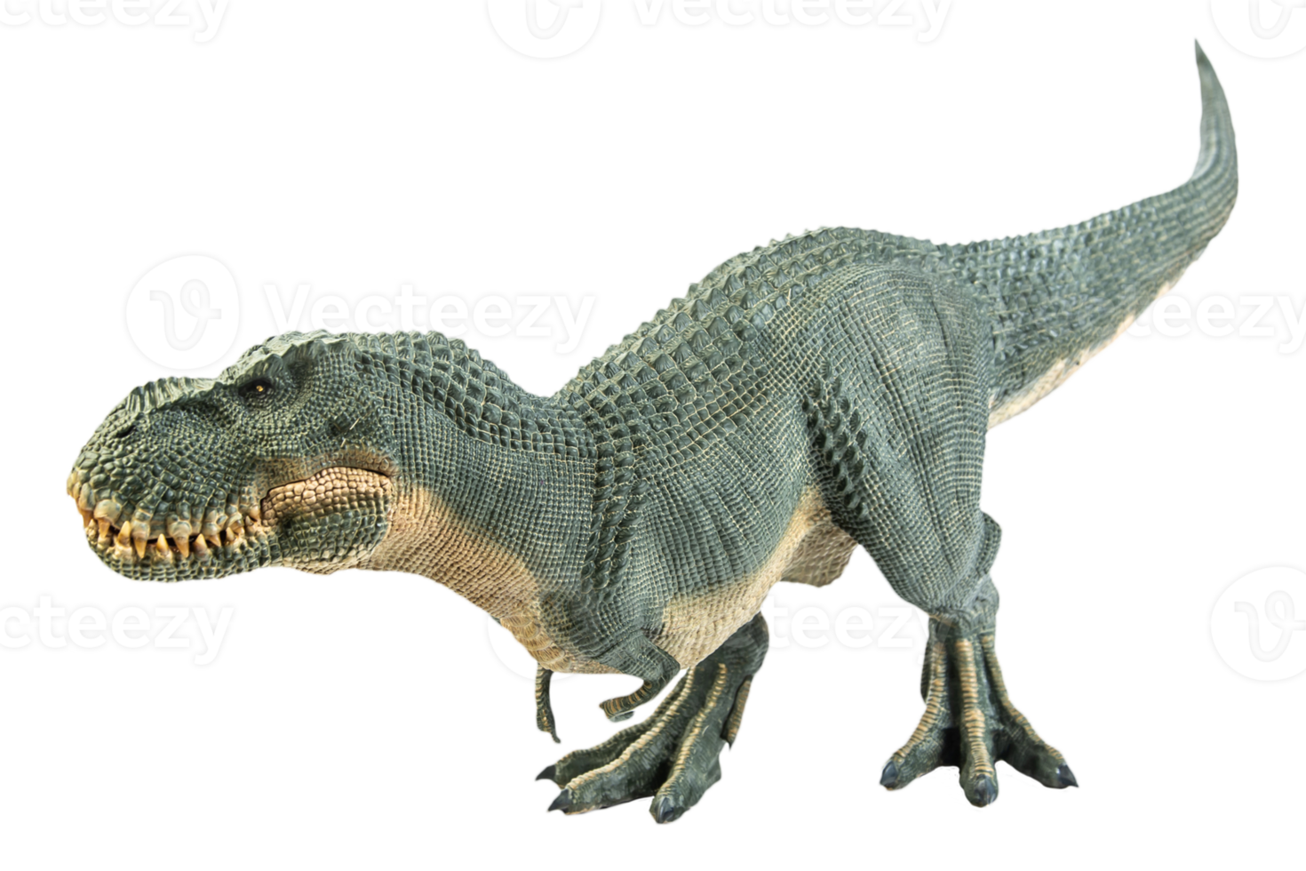 tirannosauro t-rex, dinosauro su sfondo bianco png