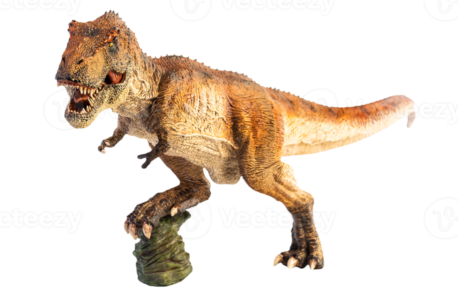 Tyrannosaurus T-rex ,dinosaur on white background png