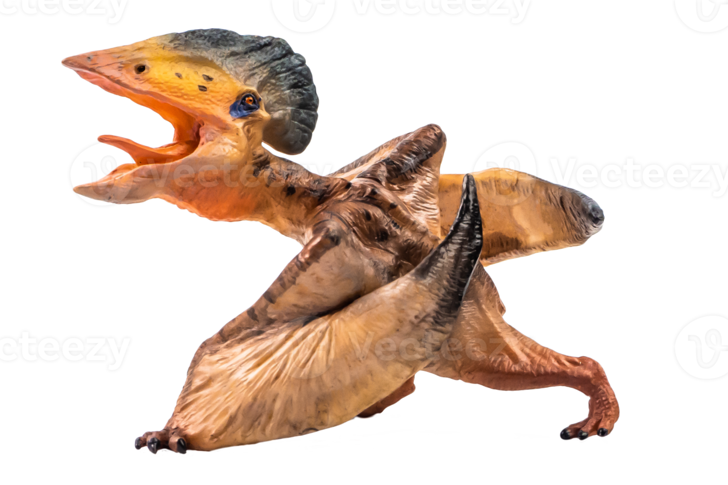 tupuxuara pterodattilo dinosauro su sfondo bianco png
