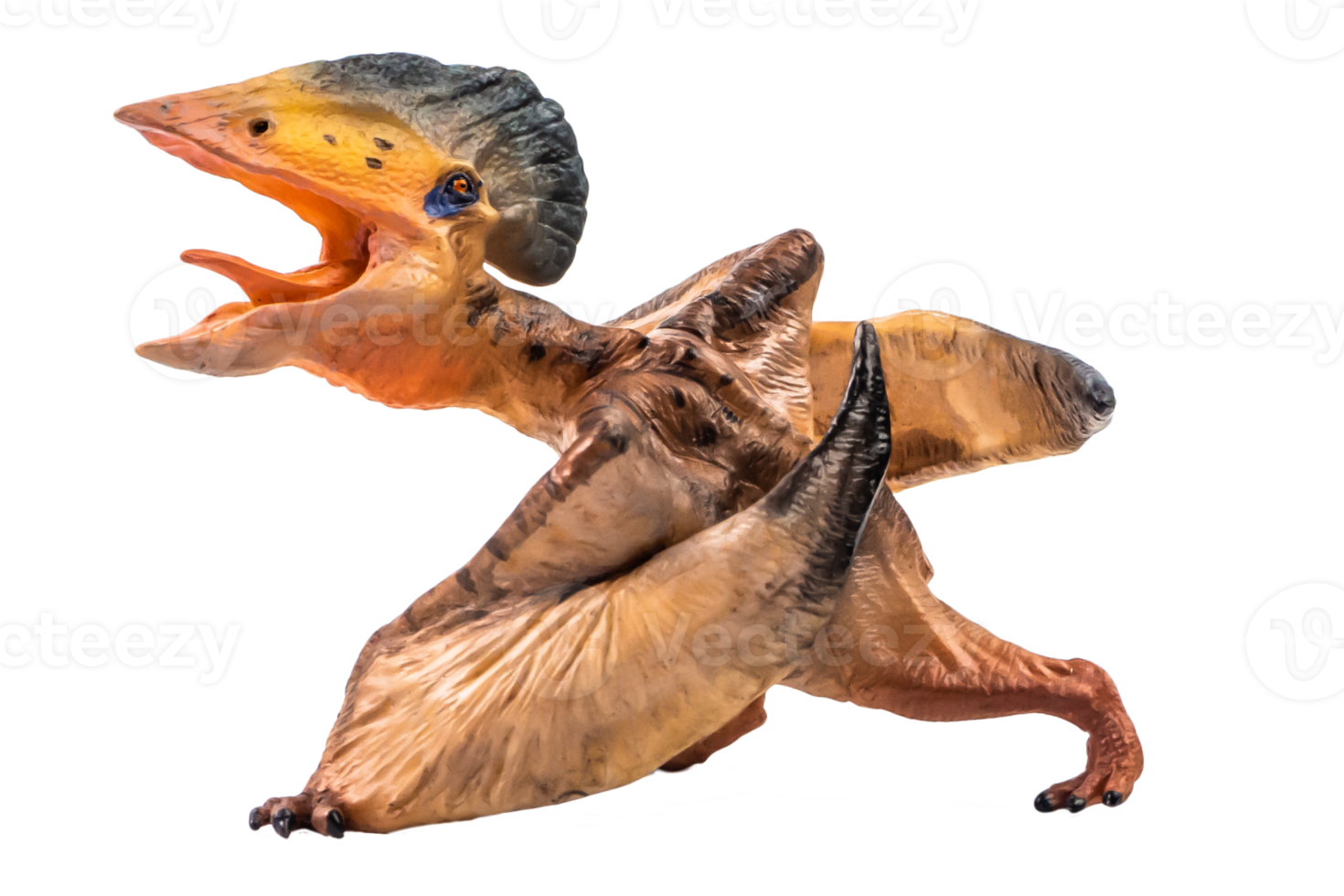 Tupuxuara Pterodactyl Dinosaur on white   background png