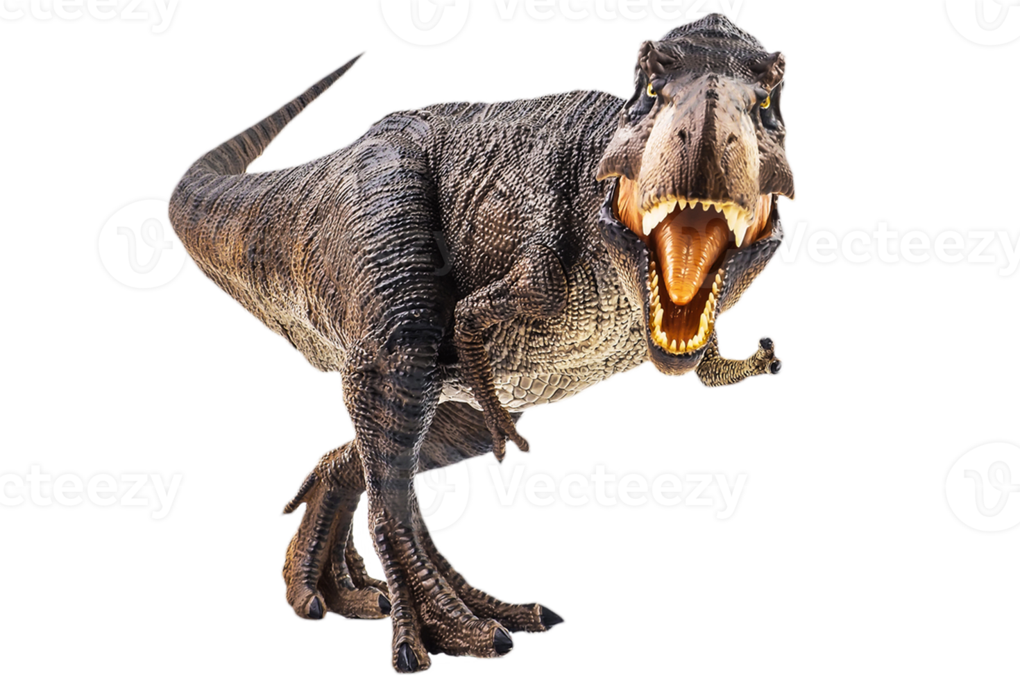 Tyrannosaurus T-Rex, Dinosaurier auf weißem Hintergrund png