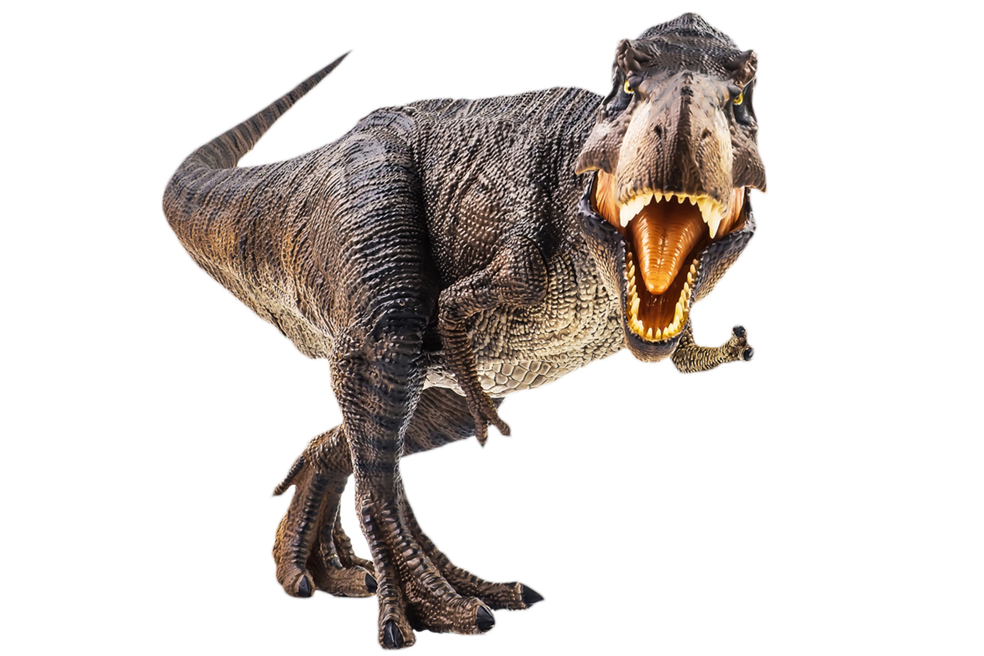 T-Rex Png - Baixar Imagens em PNG