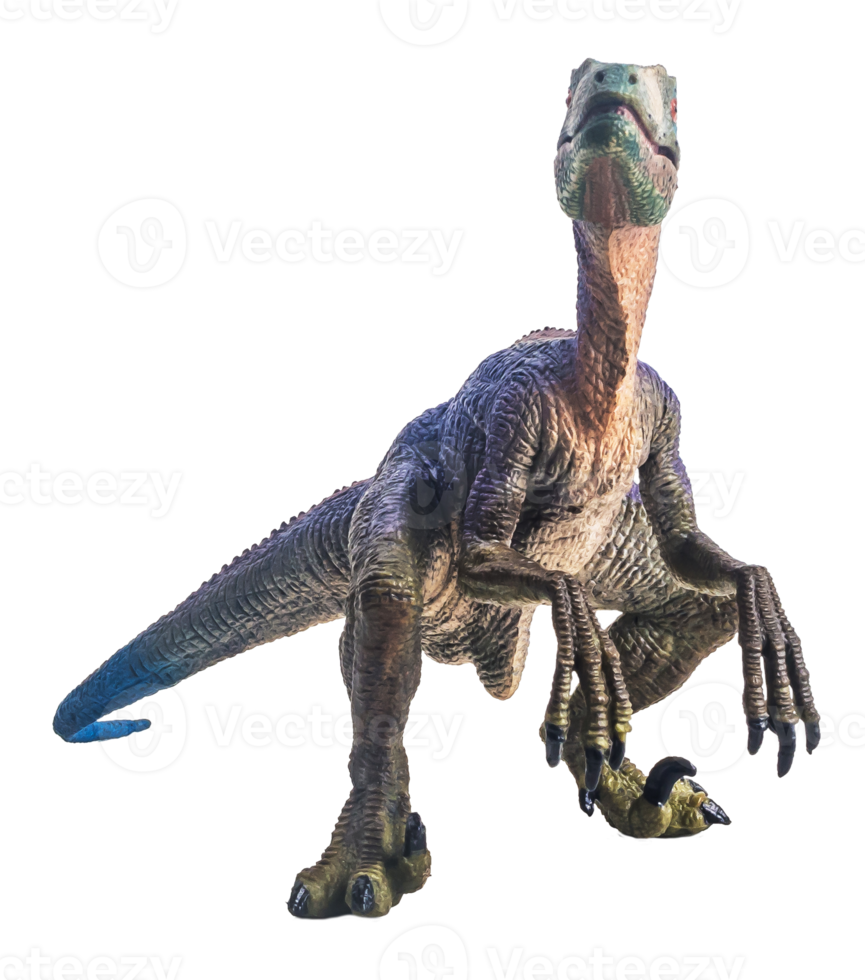 dinosaur , Velociraptor on white background . png
