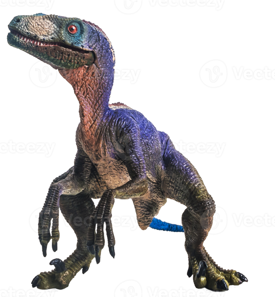 dinosaur , Velociraptor on white background . png