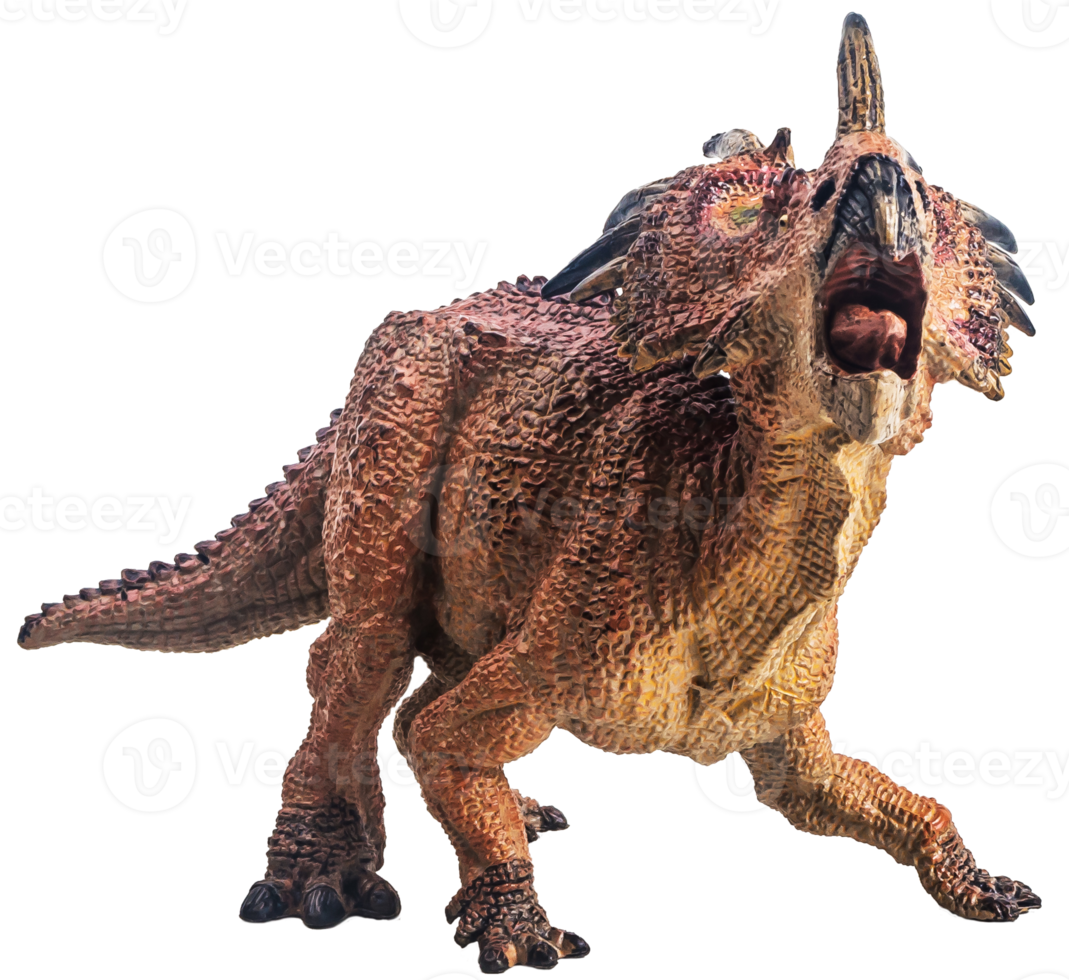 dinossauro, styracosaurus em fundo branco png