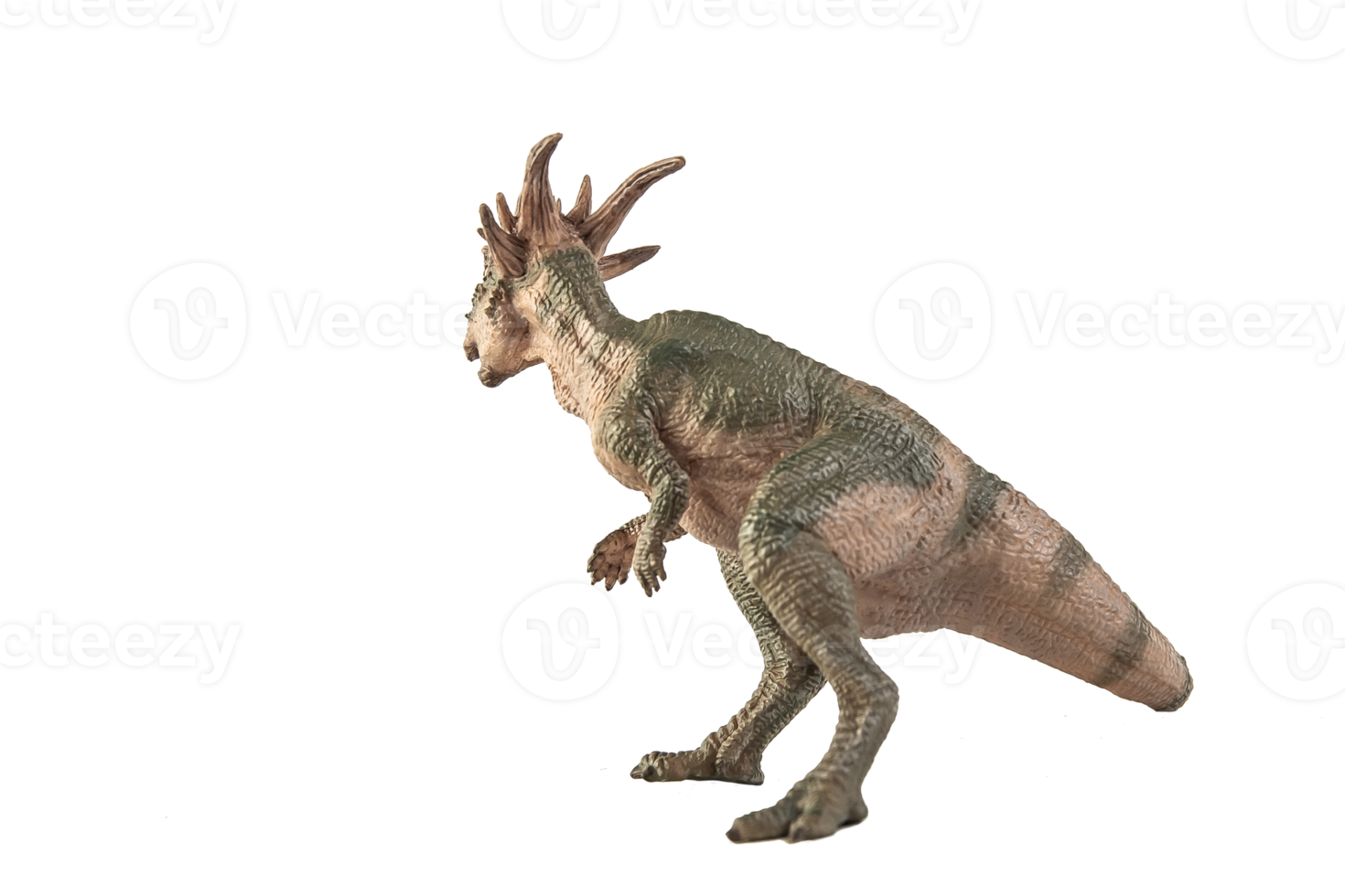 stygimoloch dinosaurus op witte achtergrond png