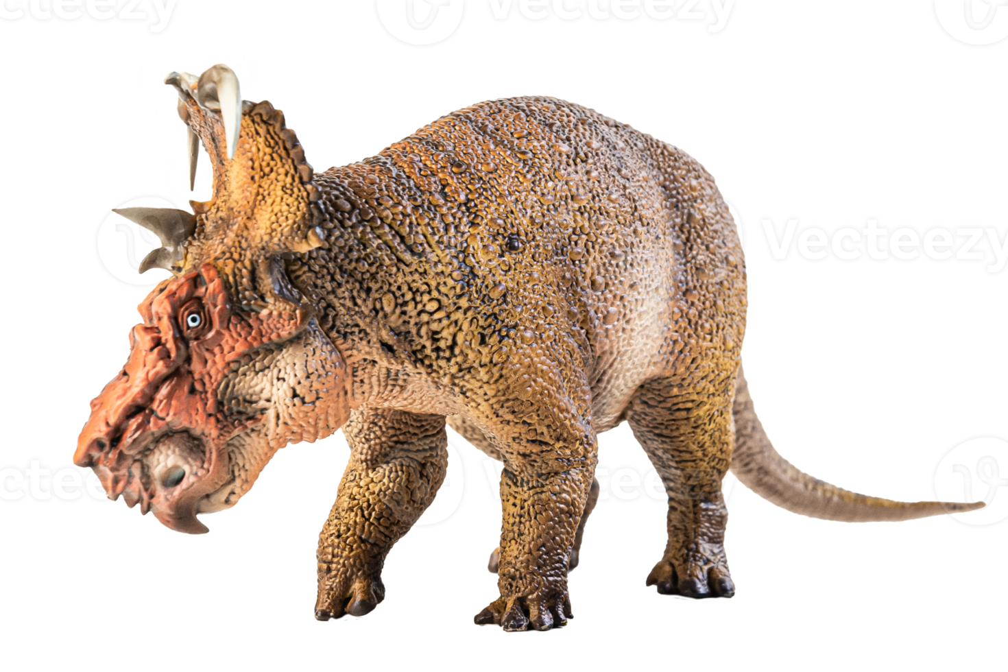 pachyrhinosaurus, dinossauro em fundo branco. png